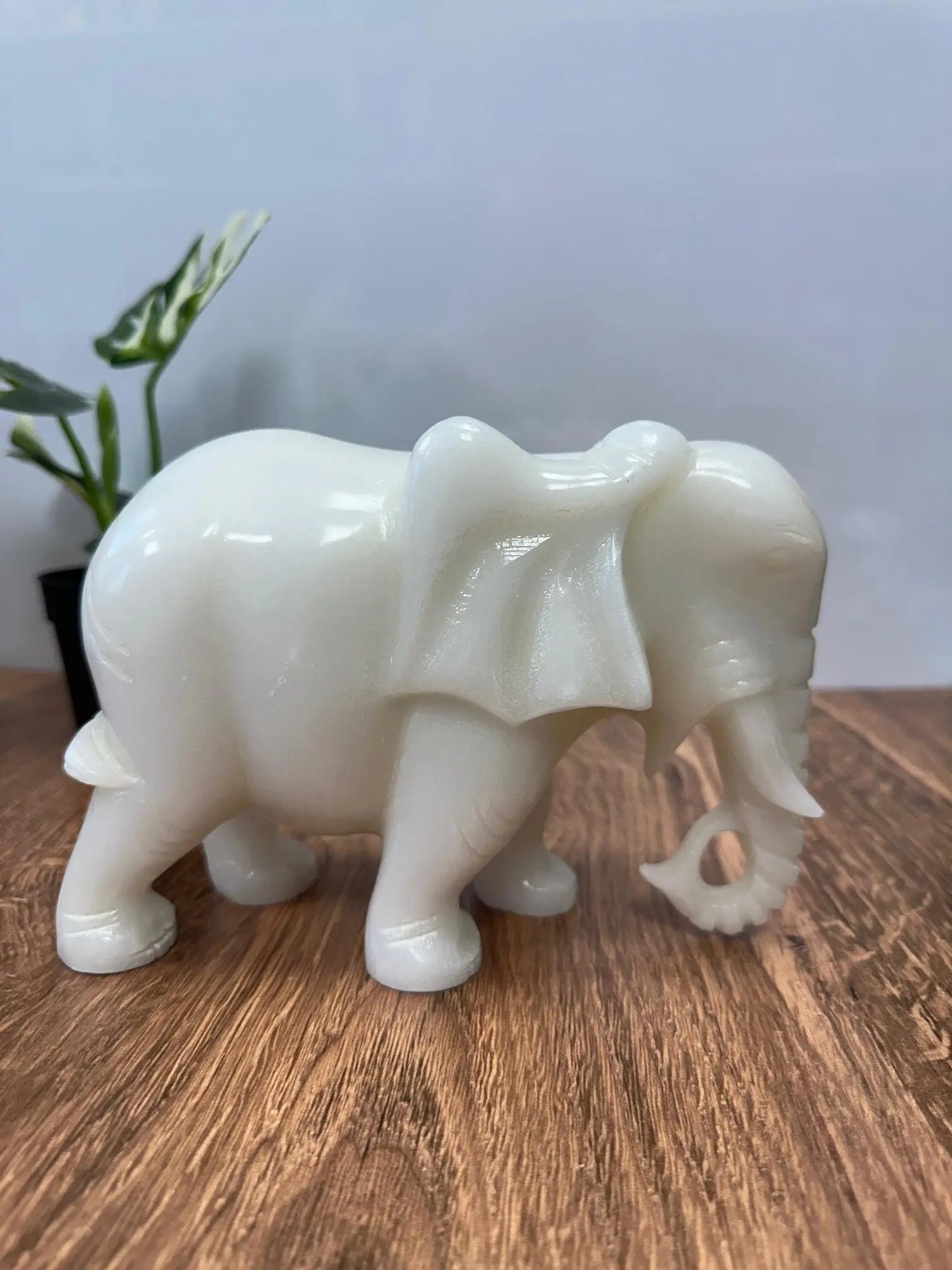 White Jade Elephant 5 inches tall 6lbs Oakriver Crystals