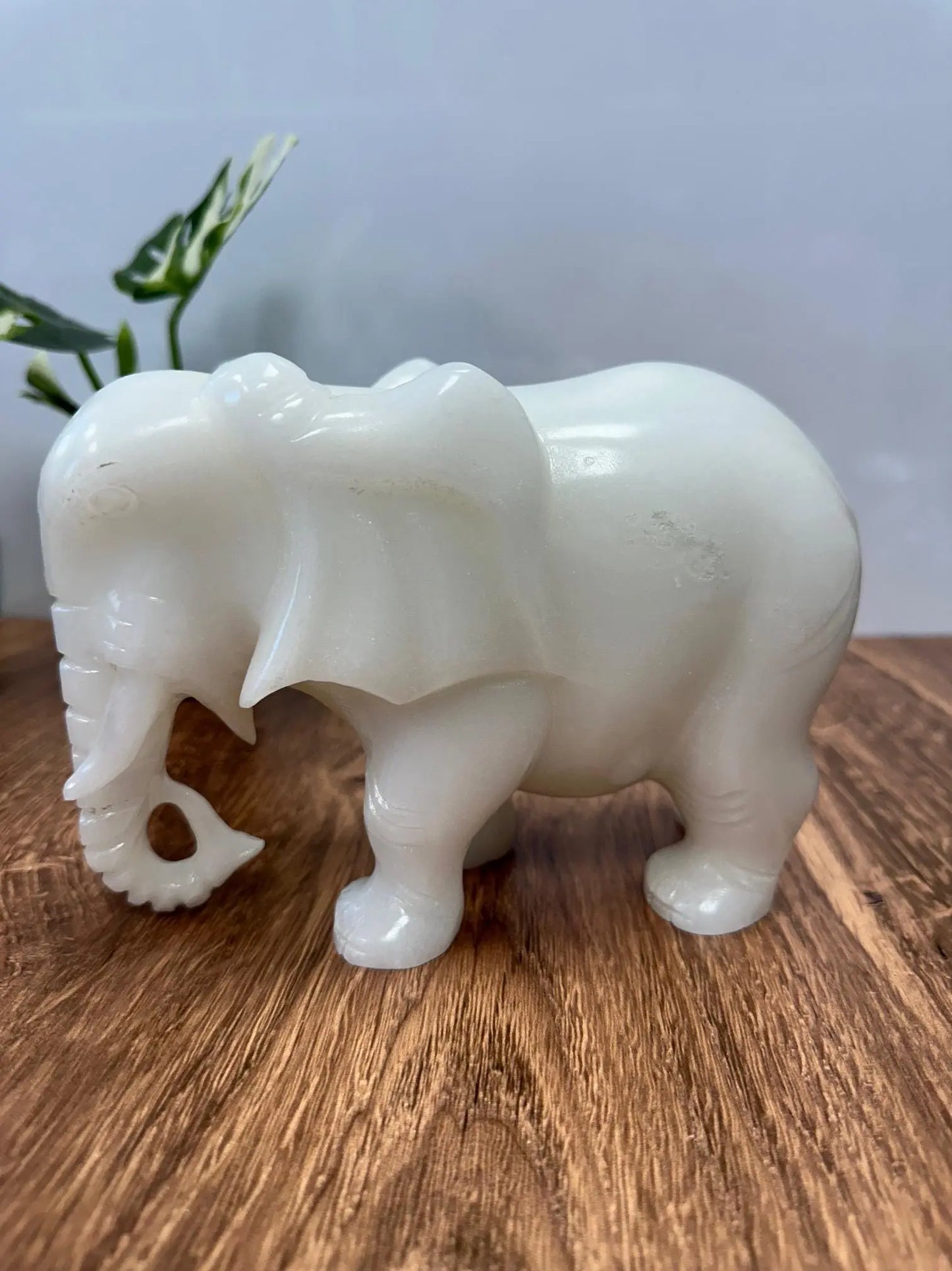 White Jade Elephant 5 inches tall 6lbs Oakriver Crystals