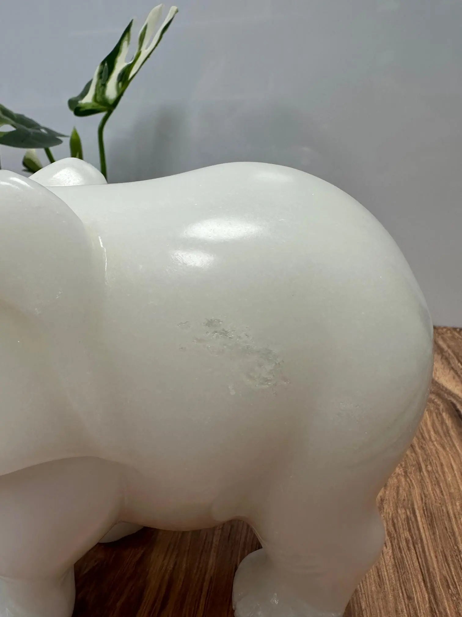 White Jade Elephant 5 inches tall 6lbs Oakriver Crystals