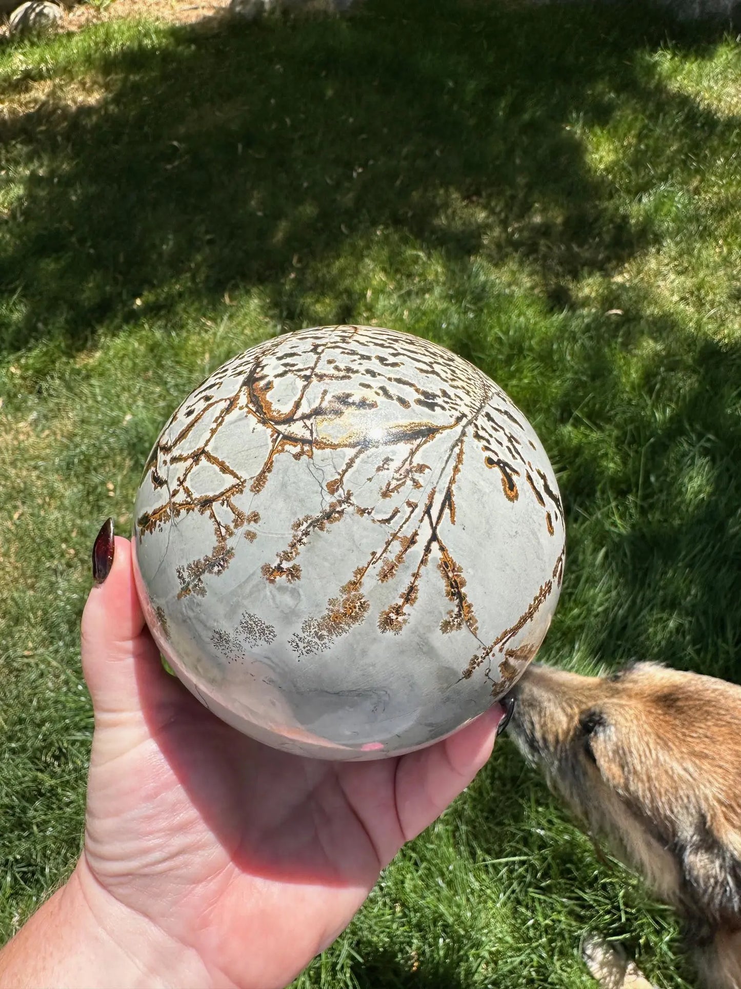 Picture Jasper Sphere 5lbs OakrivercrystalsCo