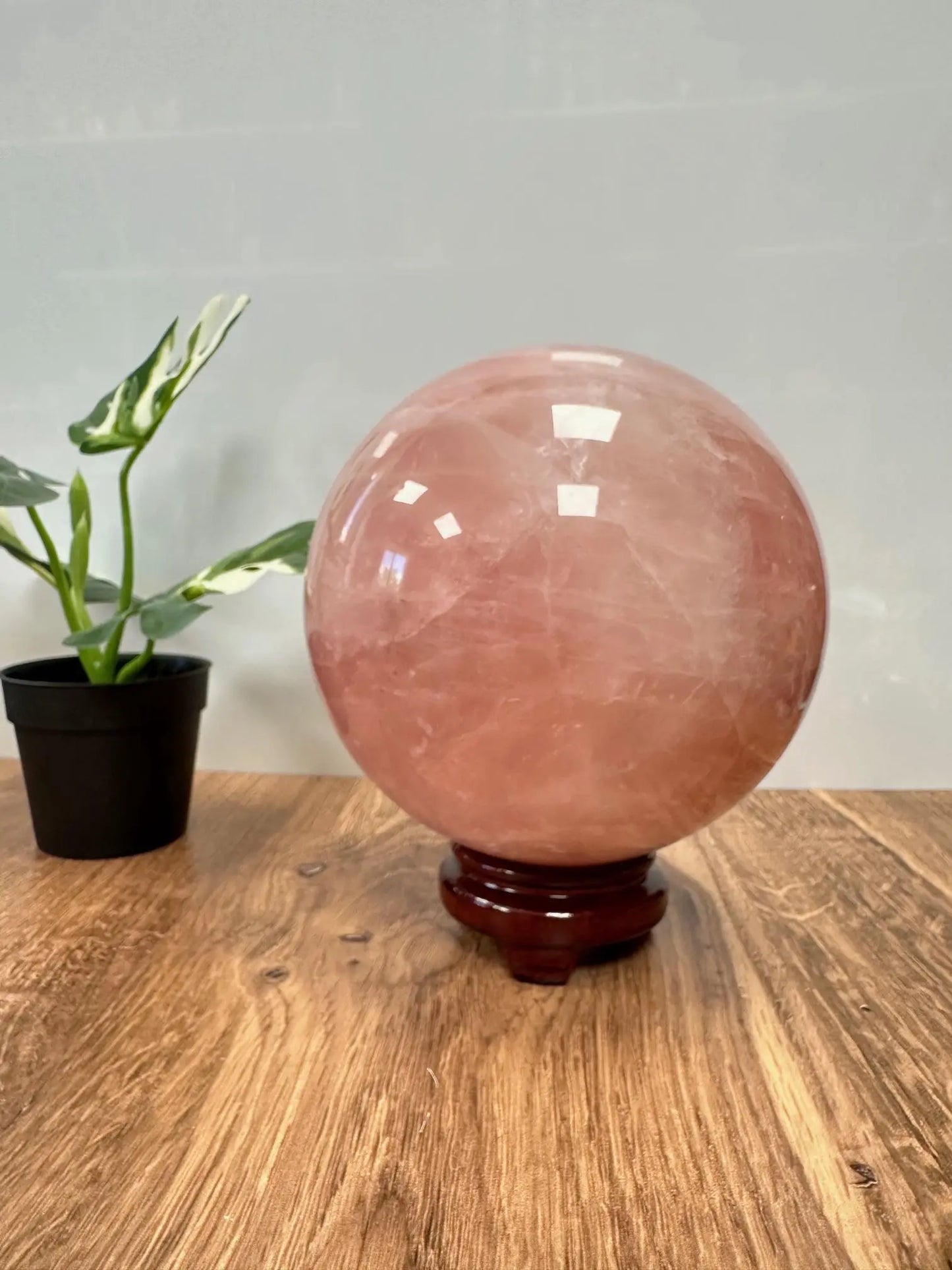 Huge Rose Quartz Sphere 14lbs Oakriver Crystals