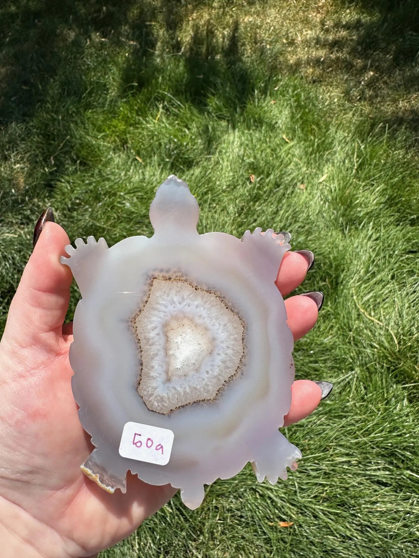 Druzy Agate Turtle Crystal Carving Oakriver Crystals