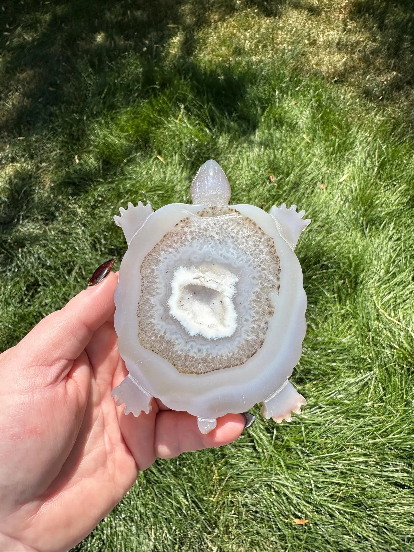 Druzy Agate Turtle Crystal Carving Oakriver Crystals