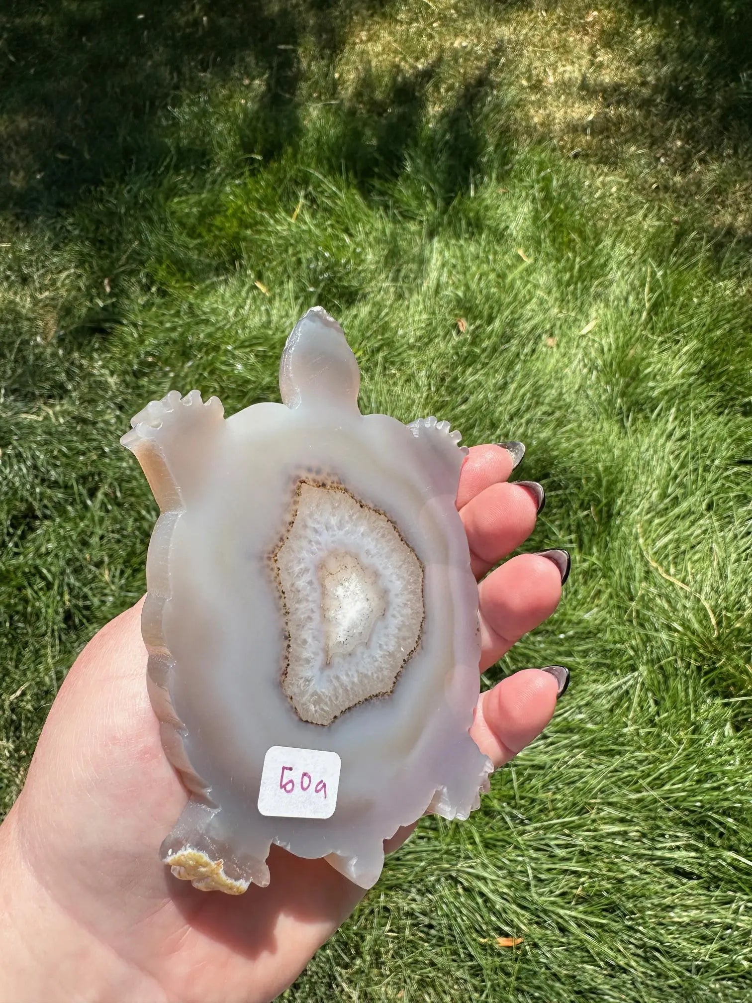 Druzy Agate Turtle Crystal Carving Oakriver Crystals