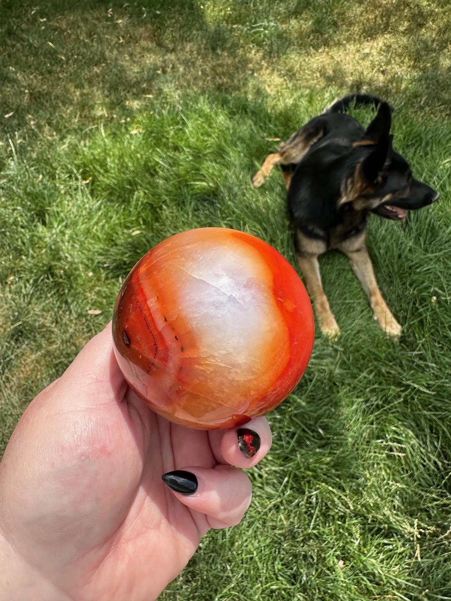 Carnelian sphere Vibrant red and Orange 2.9 inches #4 Oakriver Crystals