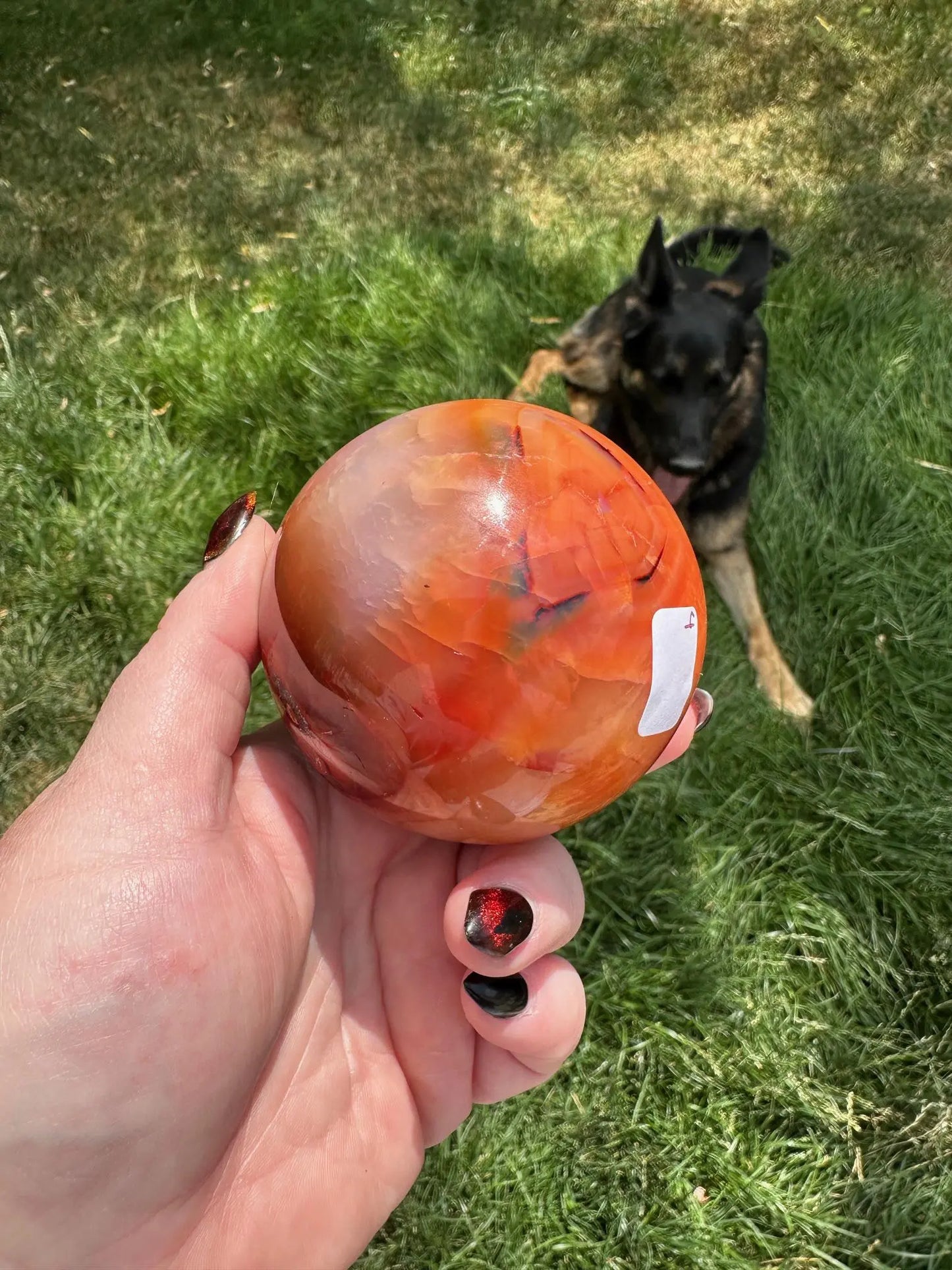 Carnelian sphere Vibrant red and Orange 2.9 inches #4 Oakriver Crystals