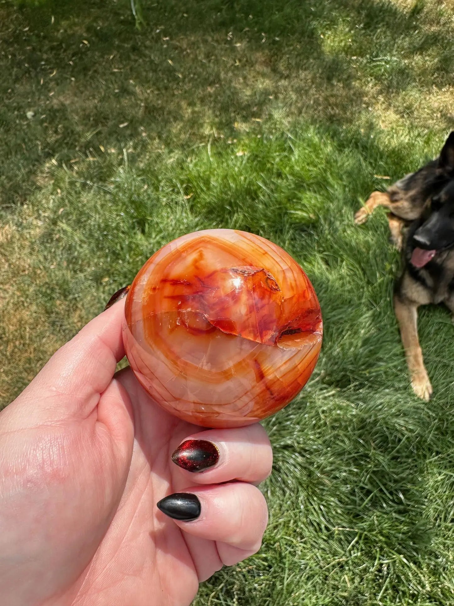 Carnelian sphere Vibrant red and Orange 2.8 inches #5 Oakriver Crystals