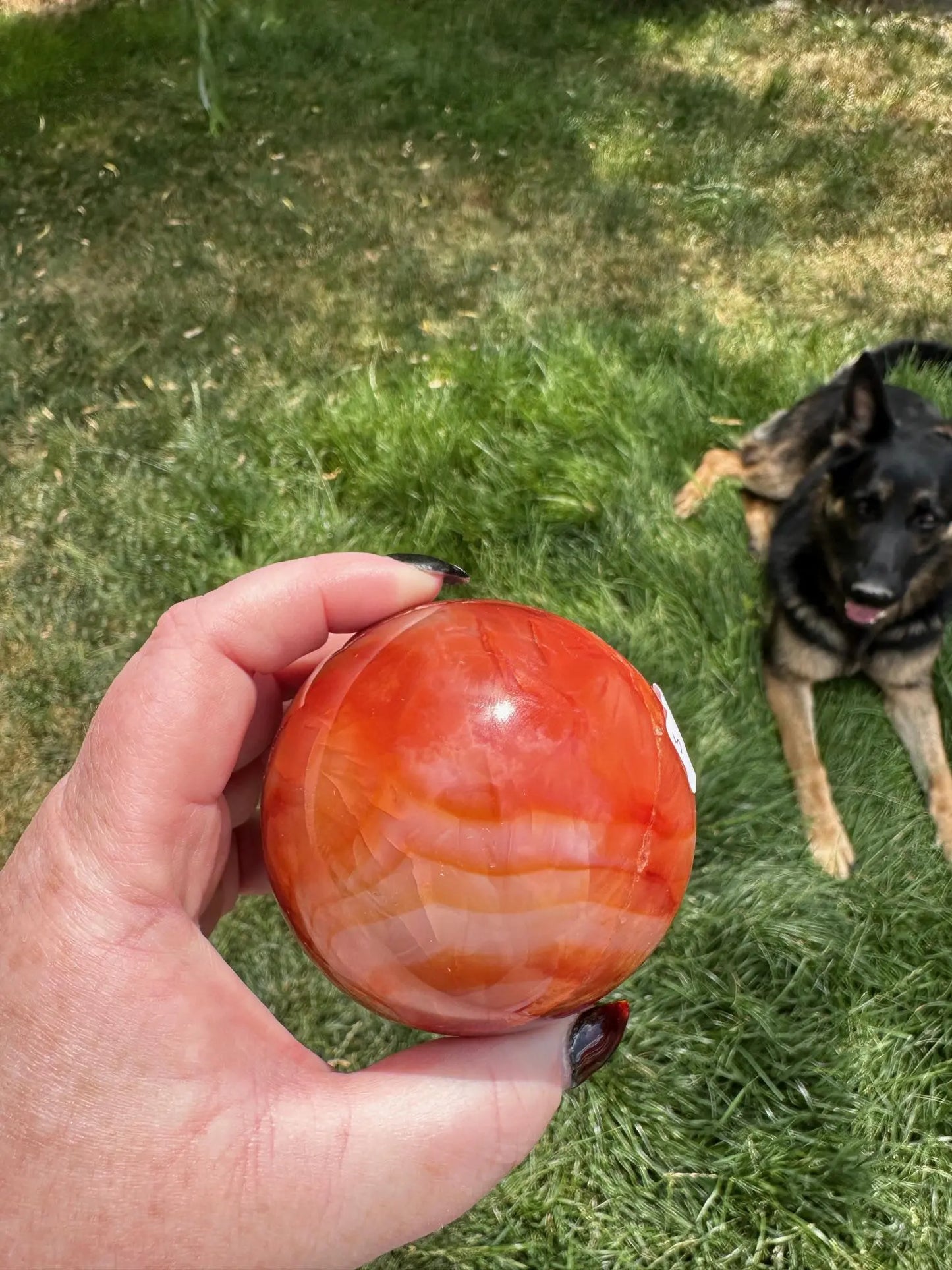 Carnelian sphere Vibrant red and Orange 2.8 inches #5 Oakriver Crystals