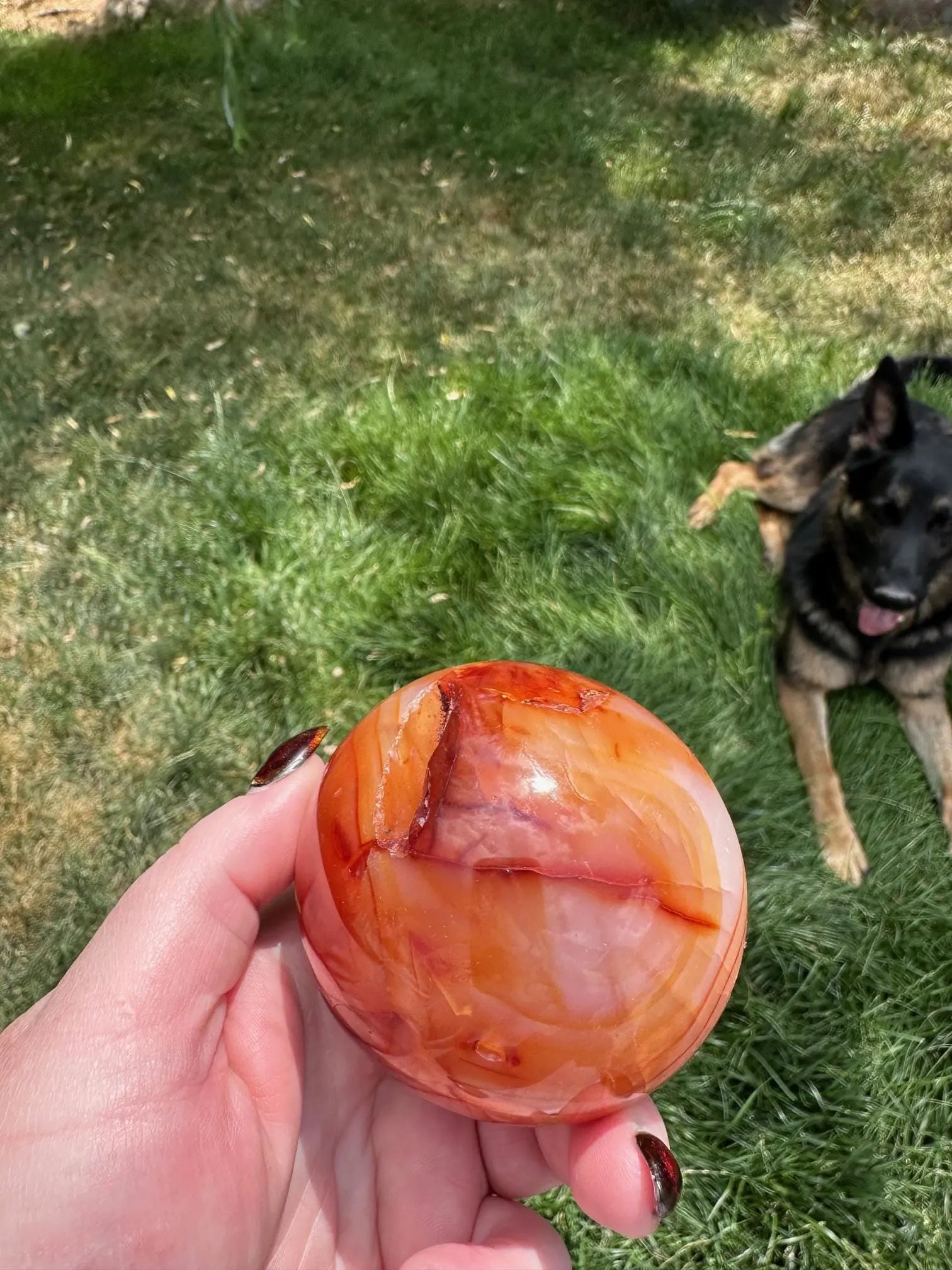 Carnelian sphere Vibrant red and Orange 2.8 inches #5 Oakriver Crystals