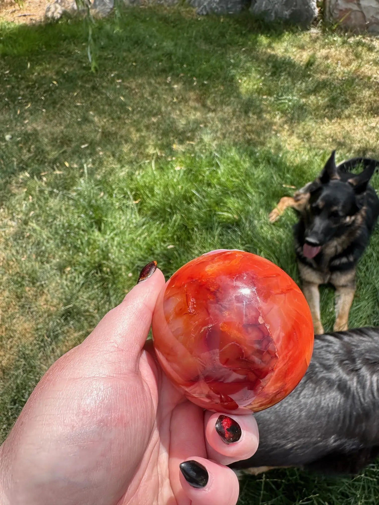 Carnelian sphere Vibrant red and Orange 2.8 inches #5 Oakriver Crystals