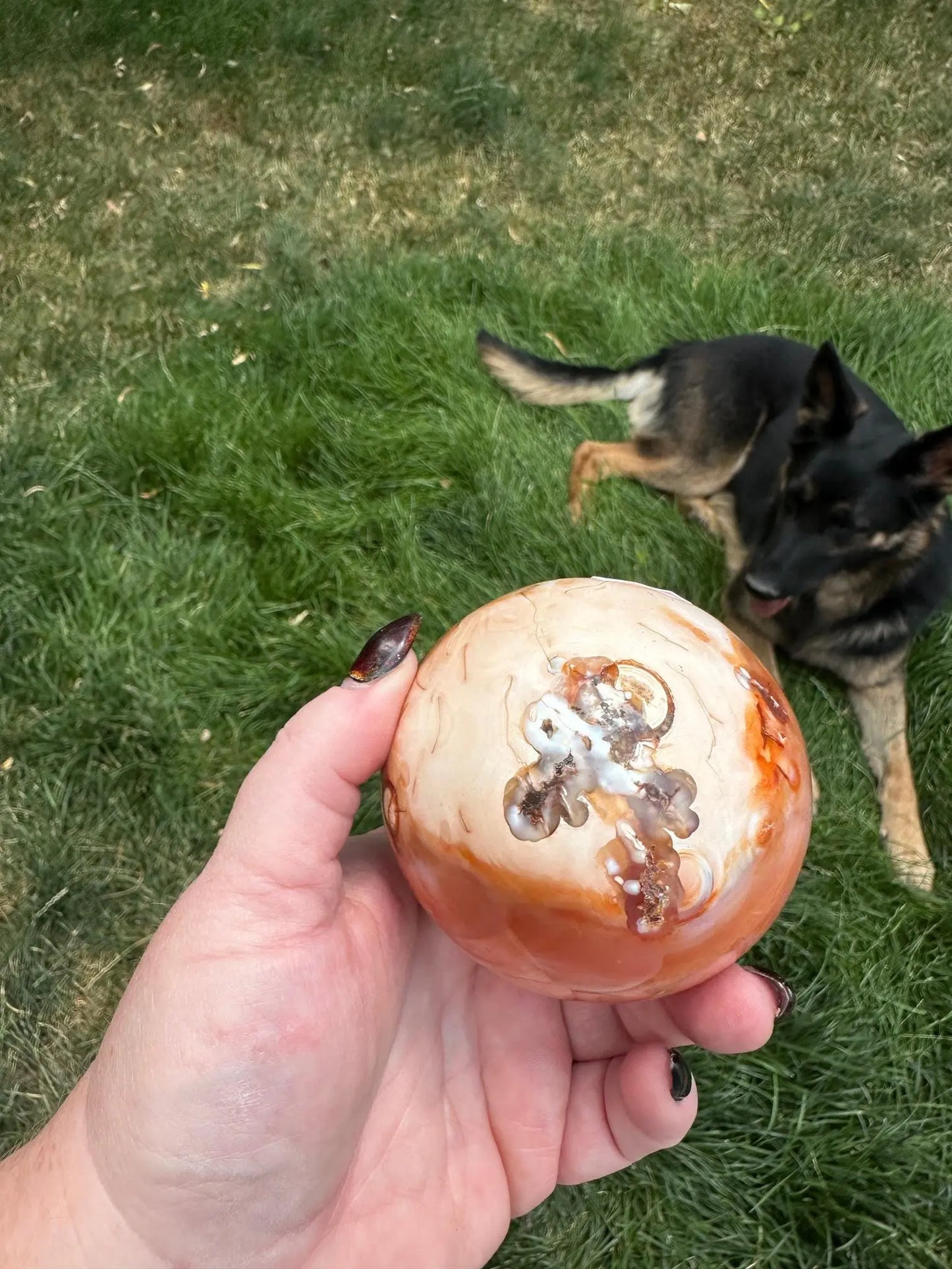 Carnelian sphere Vibrant red and Orange 3.1 inches #7 Oakriver Crystals