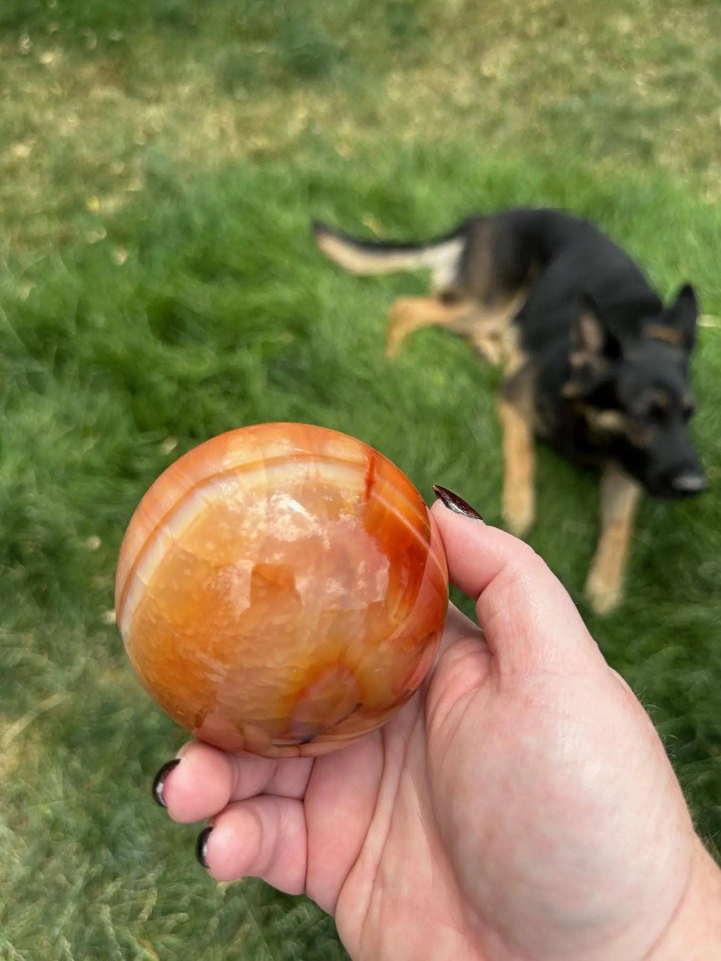 Carnelian sphere Vibrant red and Orange 3.2 inches #6 Oakriver Crystals