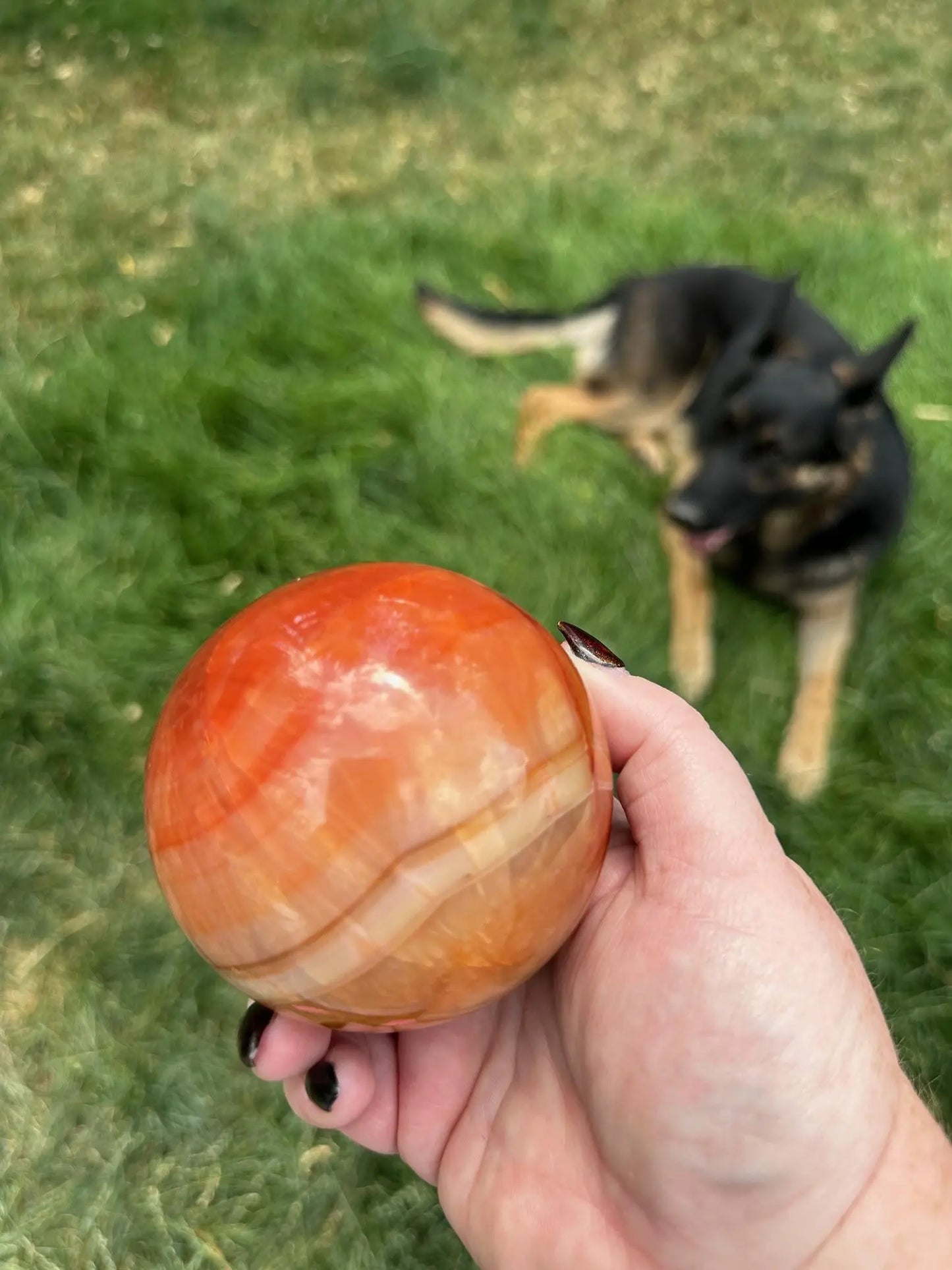 Carnelian sphere Vibrant red and Orange 3.2 inches #6 Oakriver Crystals