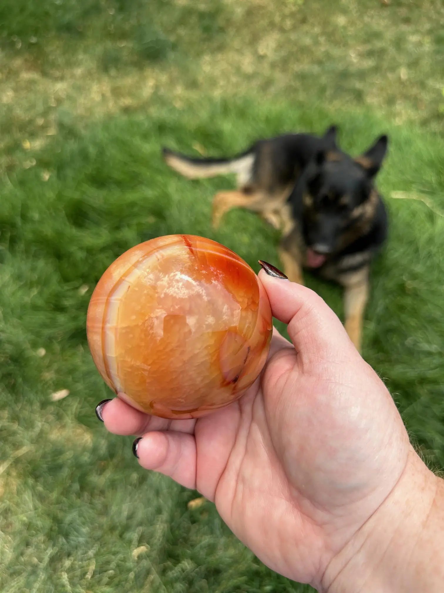 Carnelian sphere Vibrant red and Orange 3.2 inches #6 Oakriver Crystals