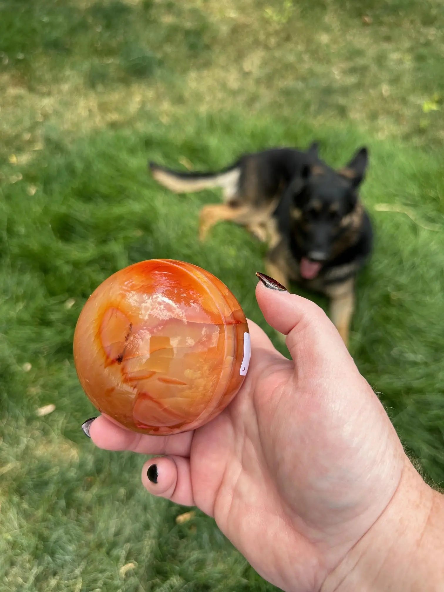 Carnelian sphere Vibrant red and Orange 3.2 inches #6 Oakriver Crystals