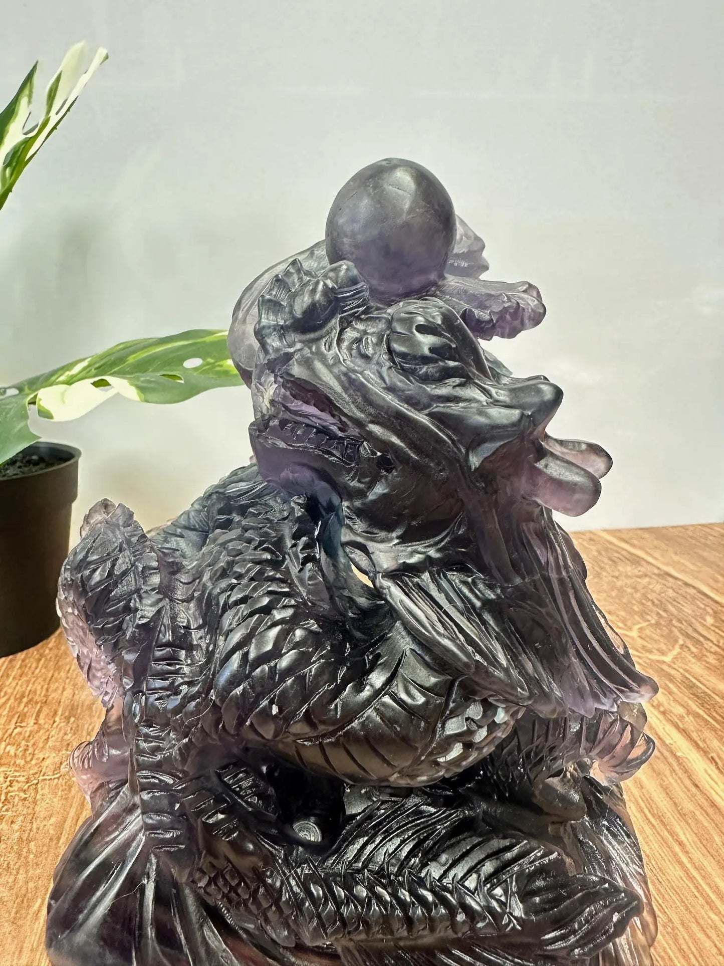 Fluorite Dragon Carving 7 inches tall 5lbs Oakriver Crystals