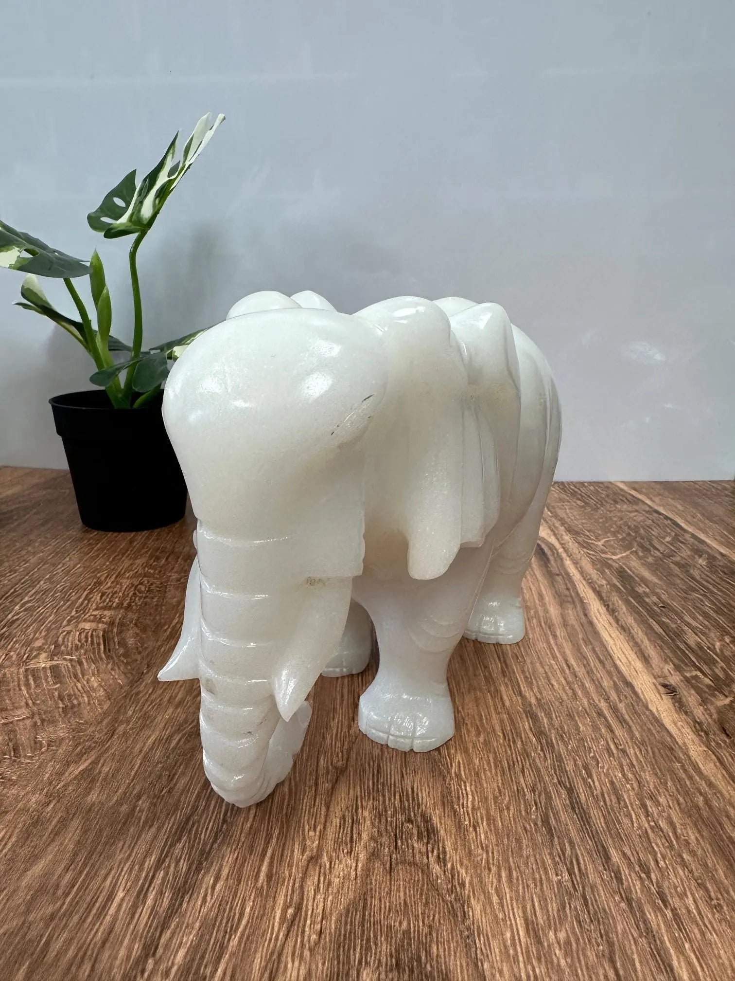 White Jade Elephant 5 inches tall 6lbs Oakriver Crystals