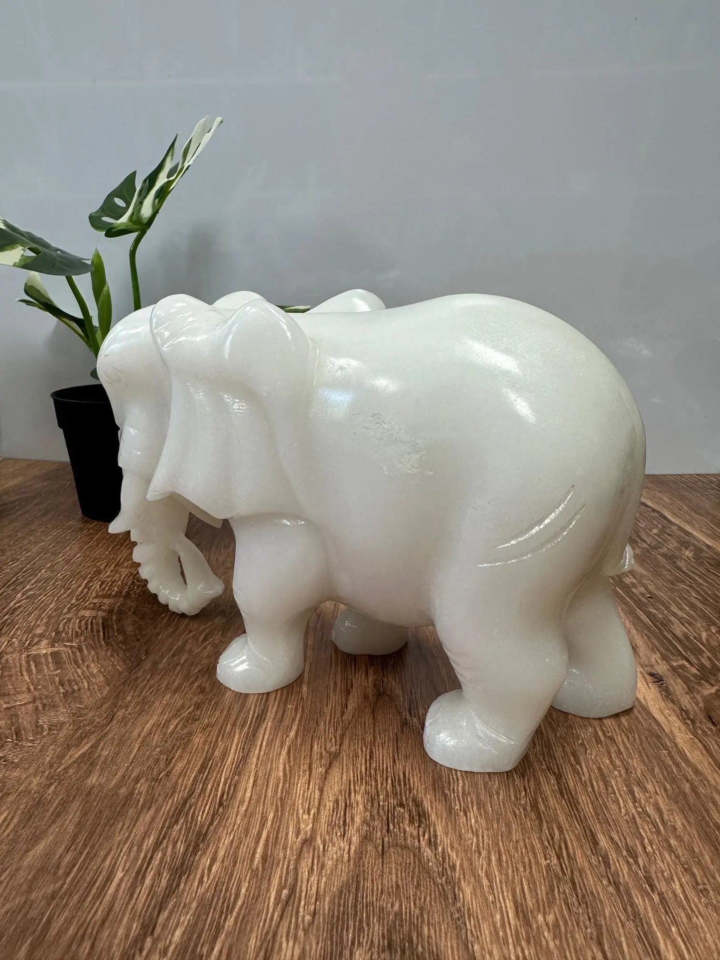 White Jade Elephant 5 inches tall 6lbs Oakriver Crystals