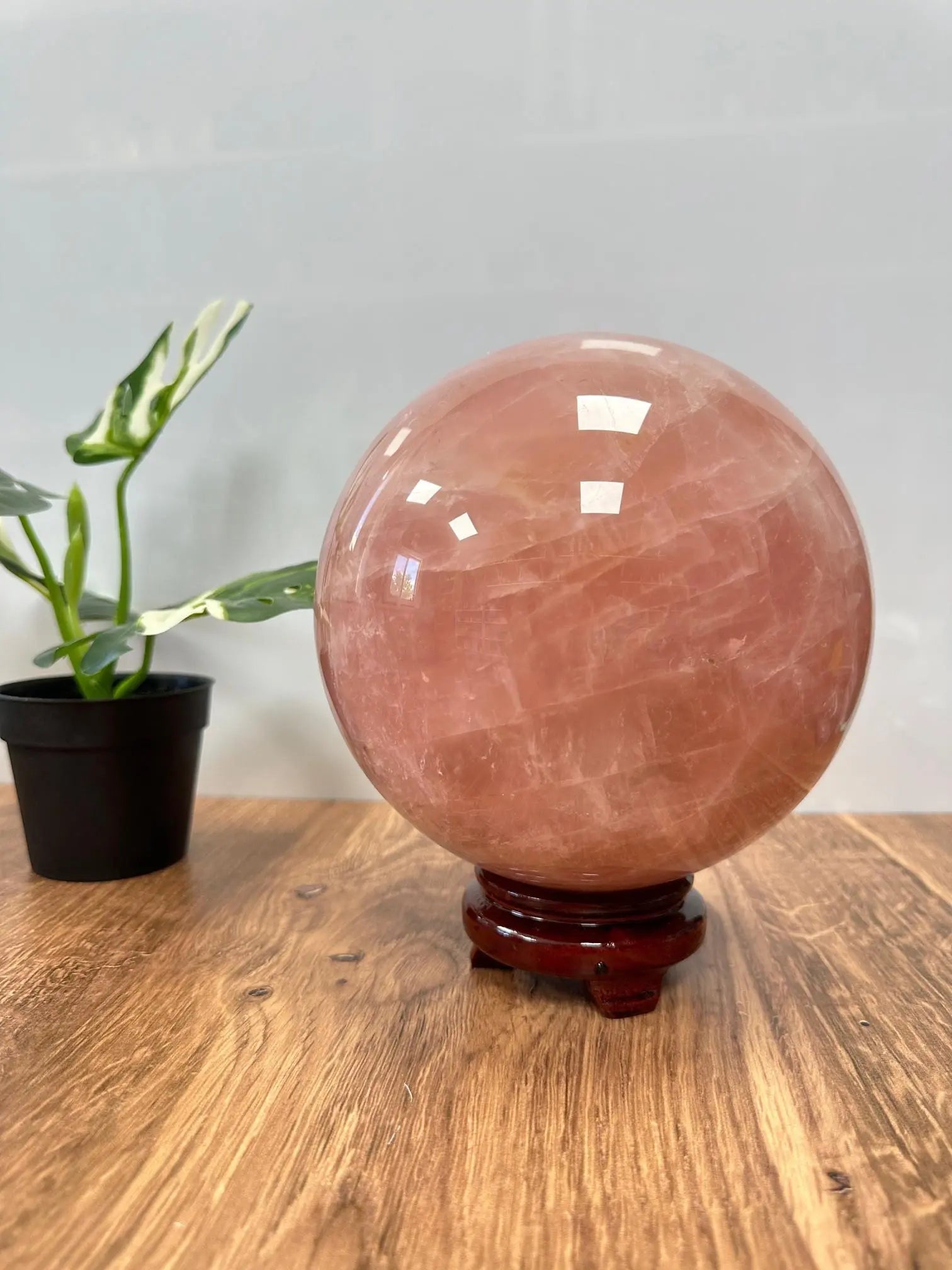 Huge Rose Quartz Sphere 14lbs Oakriver Crystals