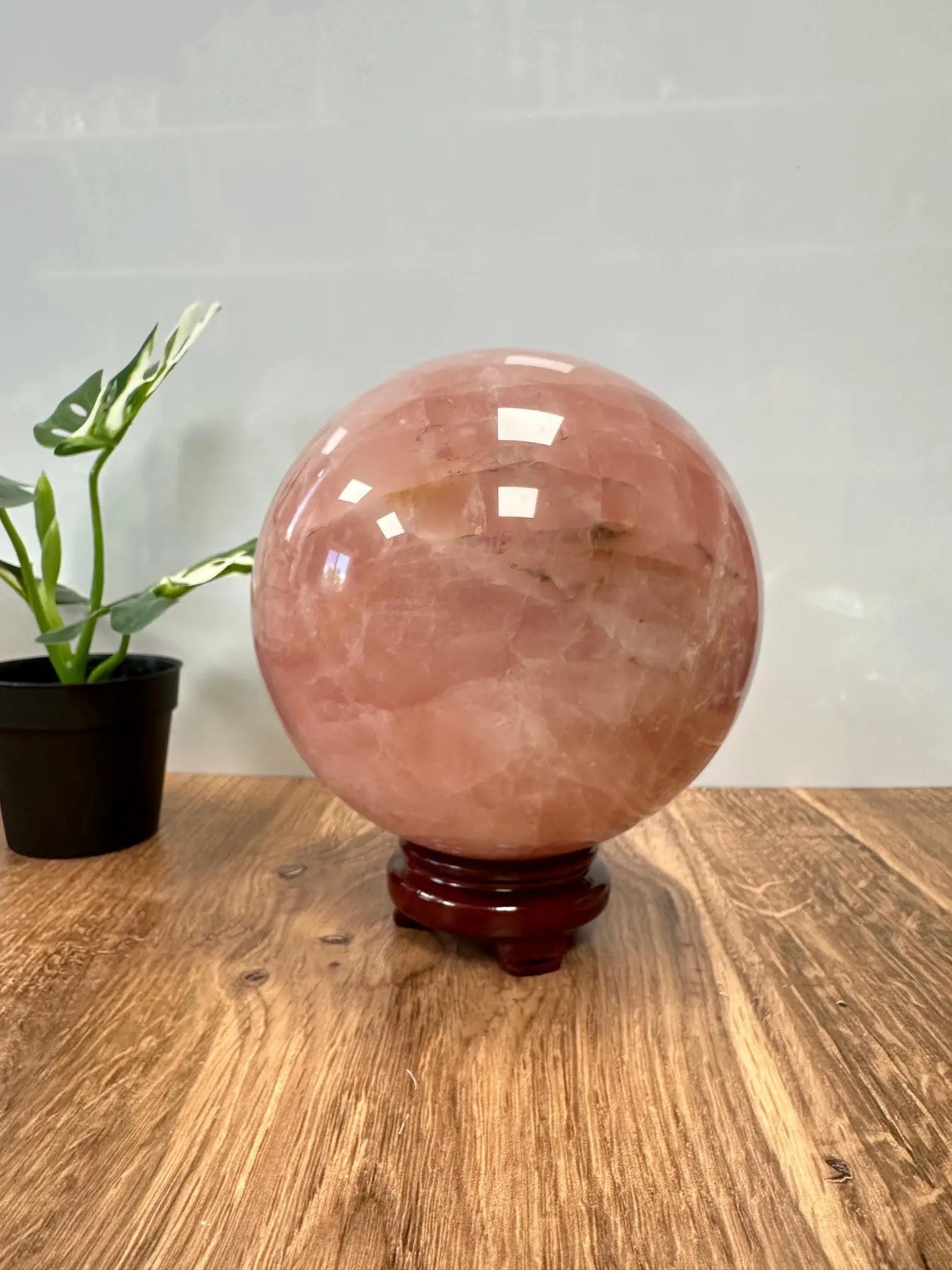 Huge Rose Quartz Sphere 14lbs Oakriver Crystals