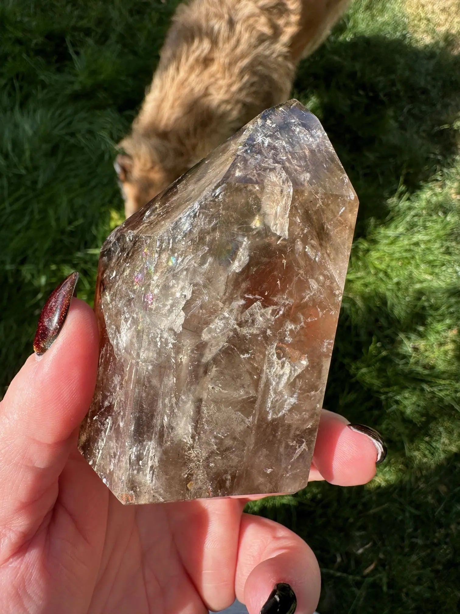 Smoky Elestial Quartz With Rainbows OakrivercrystalsCo