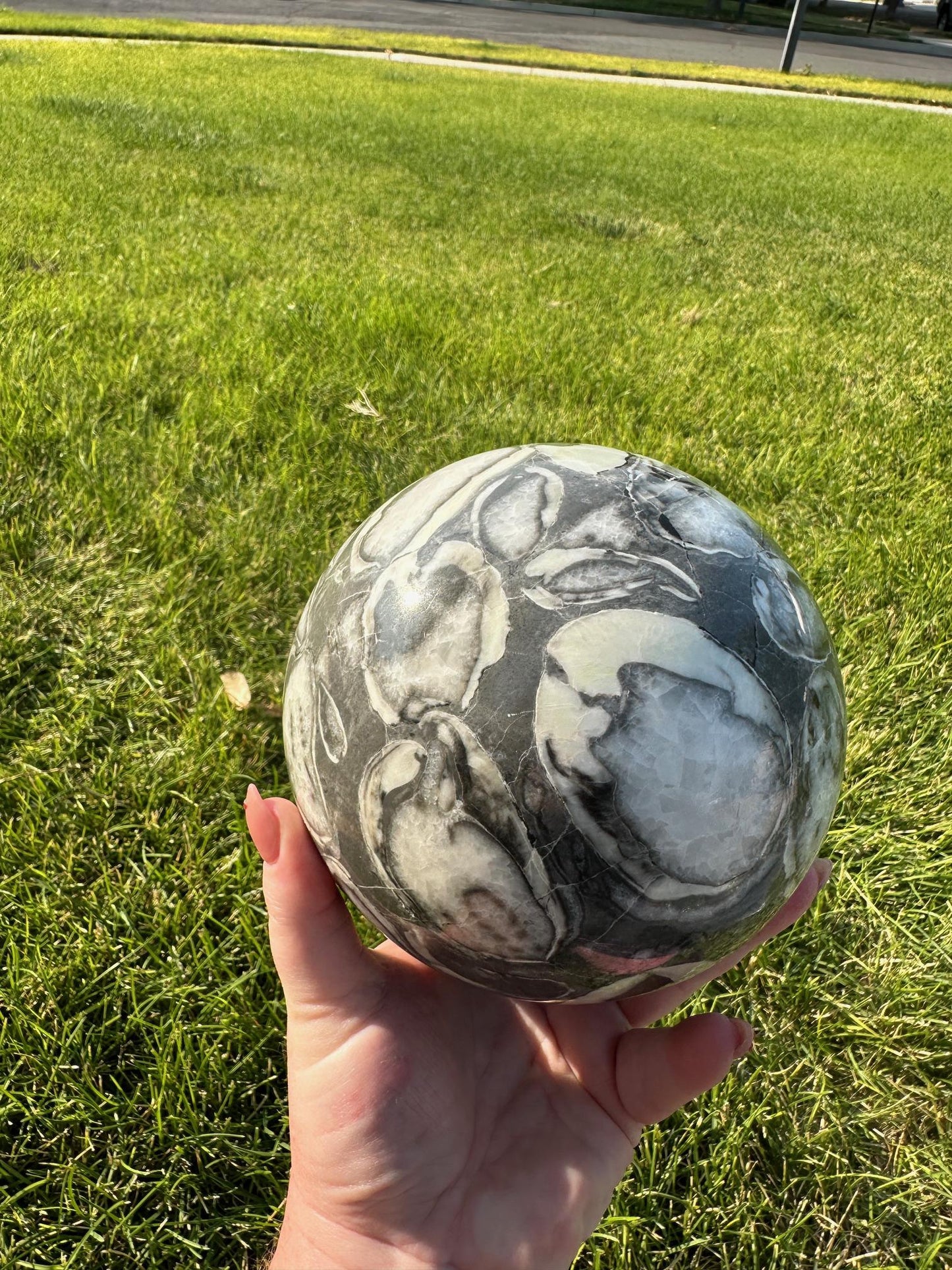 Shell Jasper Sphere – 8 lbs 9 oz – 4.8 Inches – Unique and Grounding Crystal Sphere