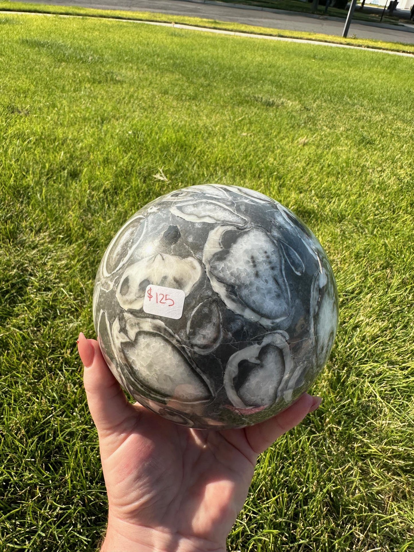 Shell Jasper Sphere – 8 lbs 9 oz – 4.8 Inches – Unique and Grounding Crystal Sphere