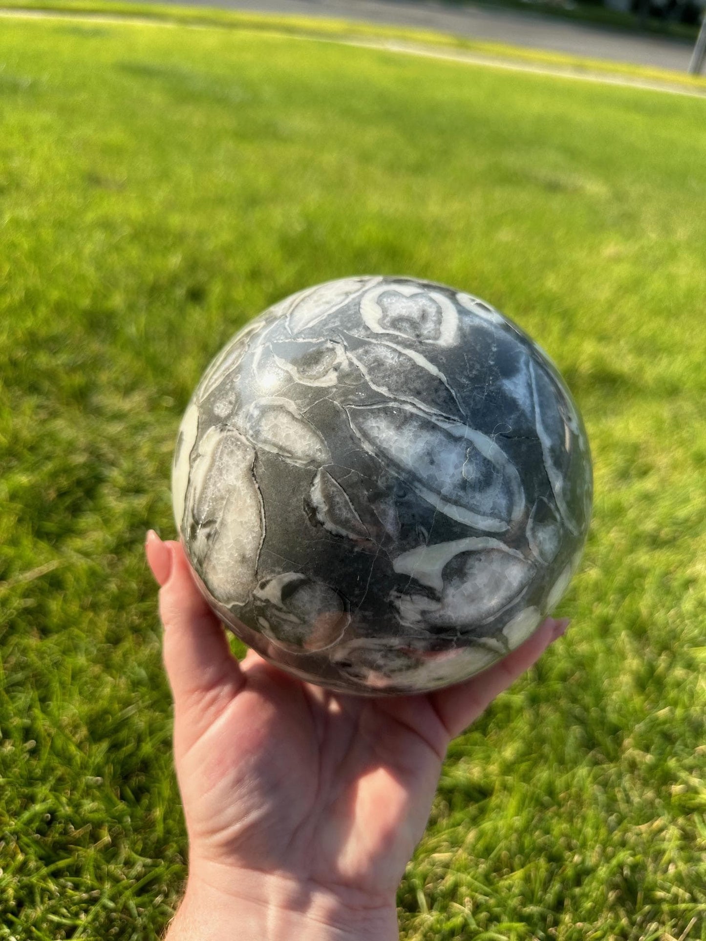 Shell Jasper Sphere – 8 lbs 9 oz – 4.8 Inches – Unique and Grounding Crystal Sphere