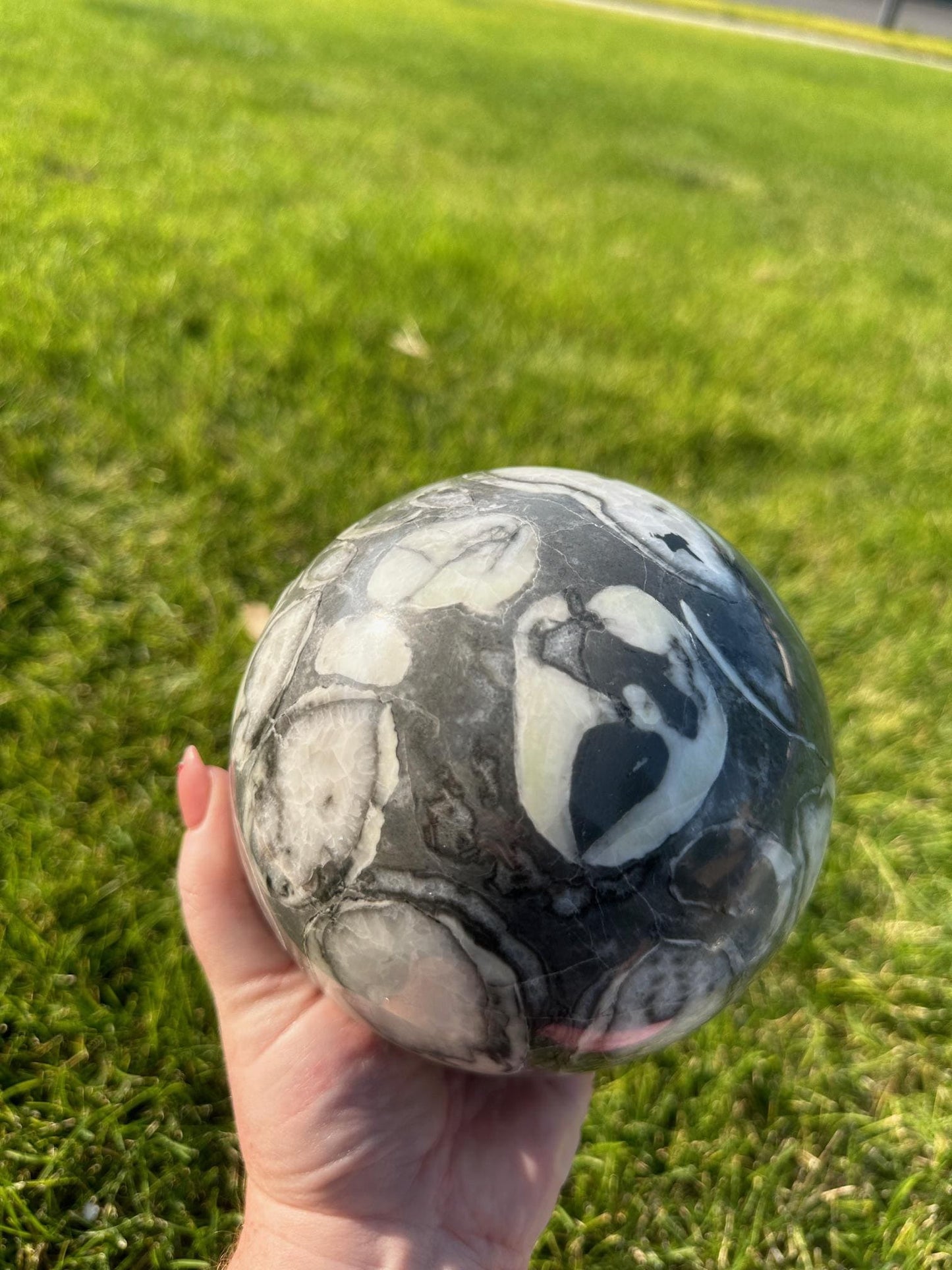 Shell Jasper Sphere – 8 lbs 9 oz – 4.8 Inches – Unique and Grounding Crystal Sphere