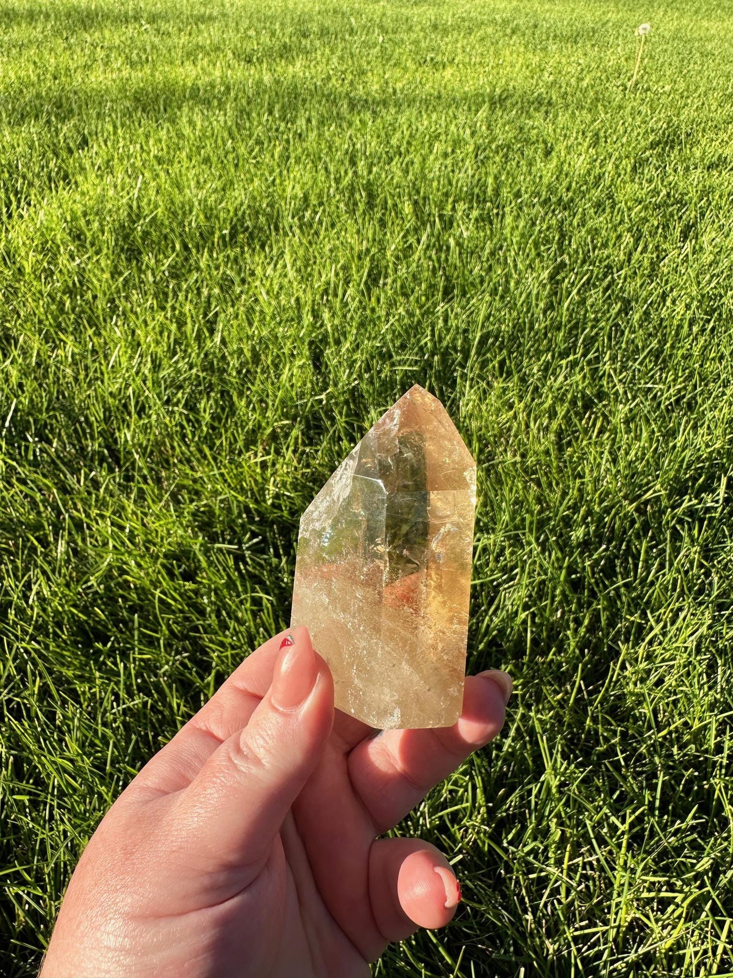 Natural Brazilian Citrine Crystal Filled with Rainbows - 3.5 Inches Tall, 8oz