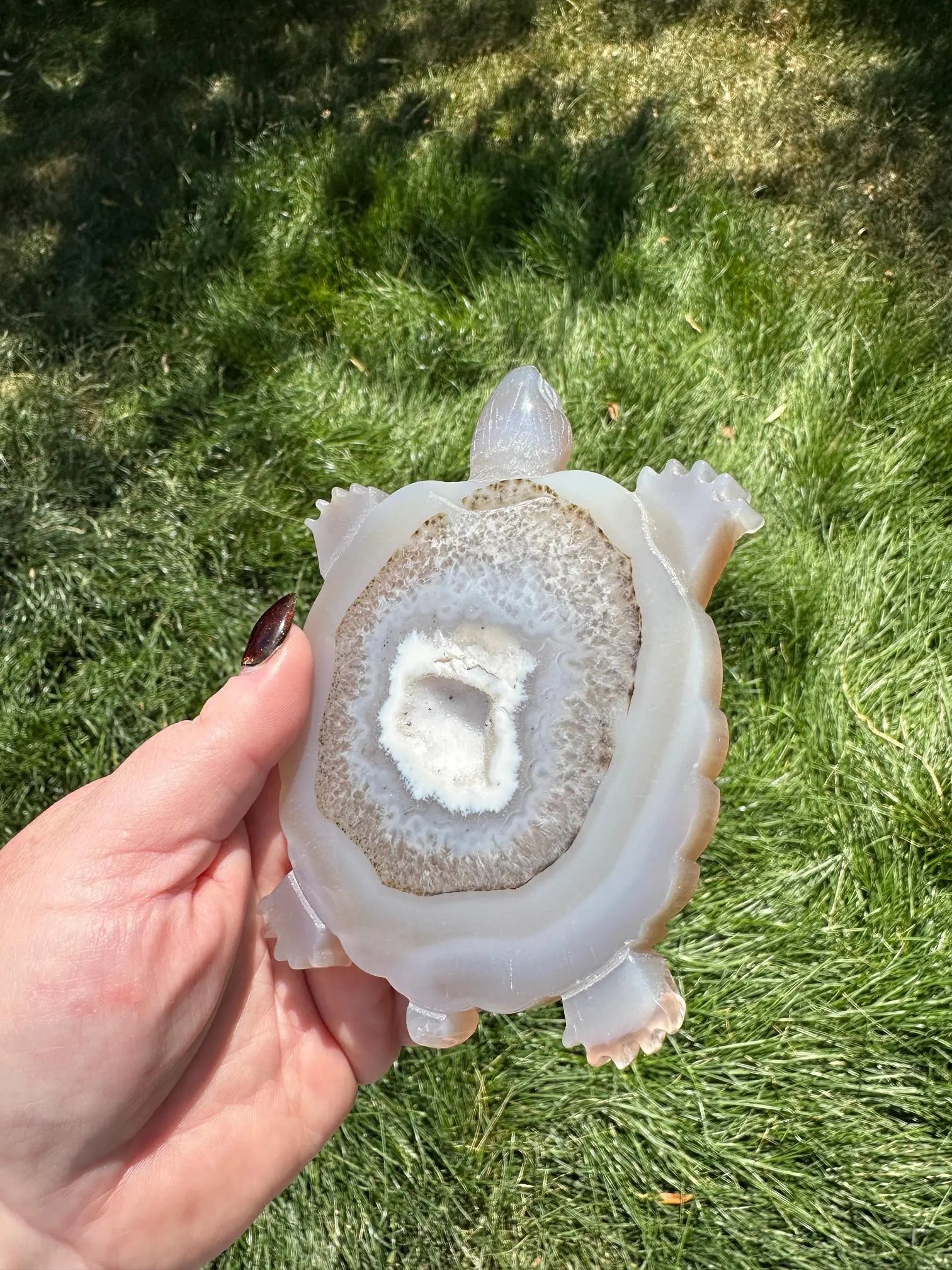 Druzy Agate Turtle Crystal Carving Oakriver Crystals