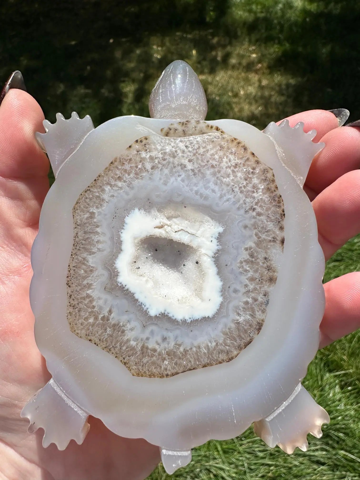 Druzy Agate Turtle Crystal Carving Oakriver Crystals