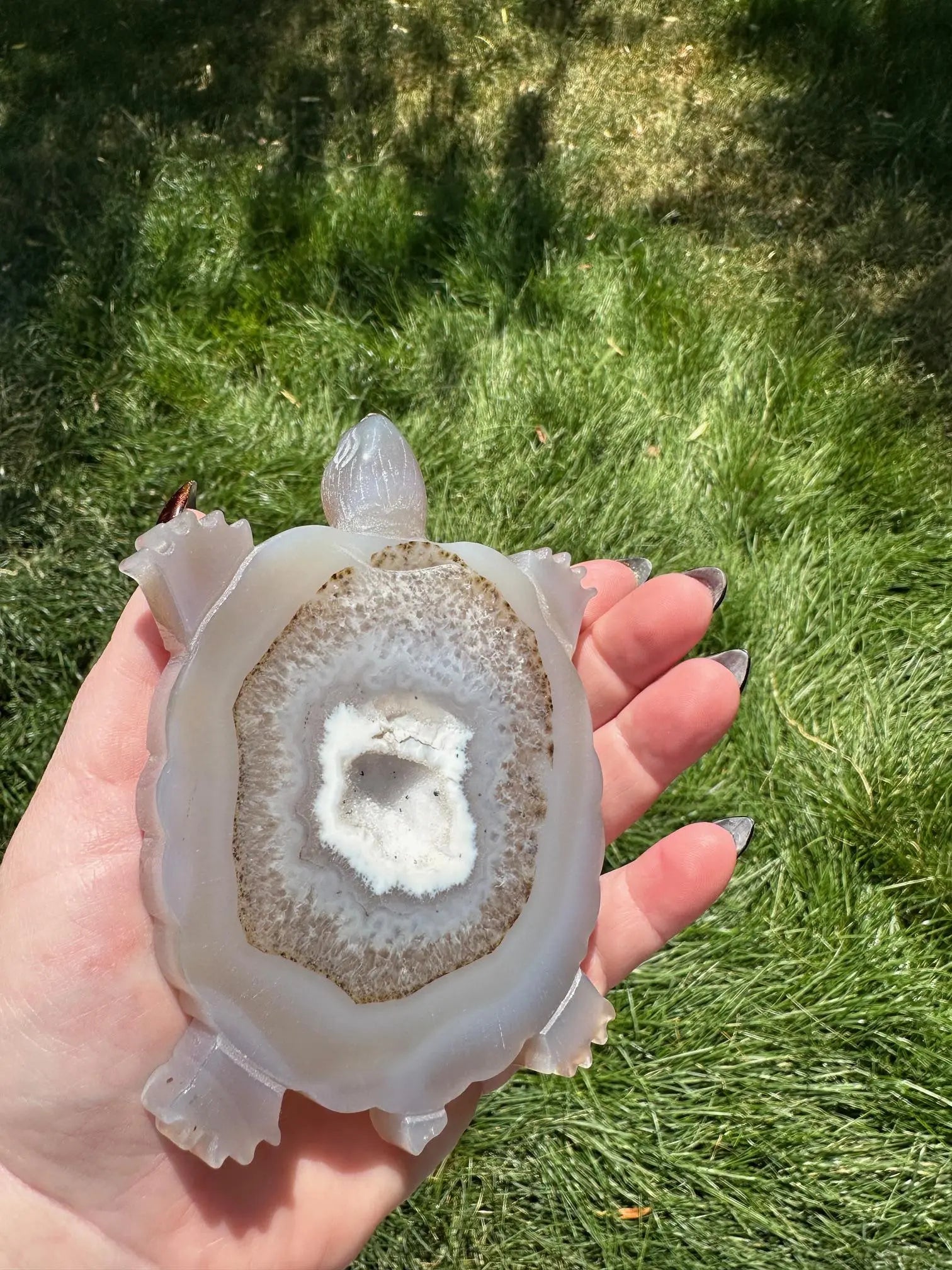 Druzy Agate Turtle Crystal Carving Oakriver Crystals