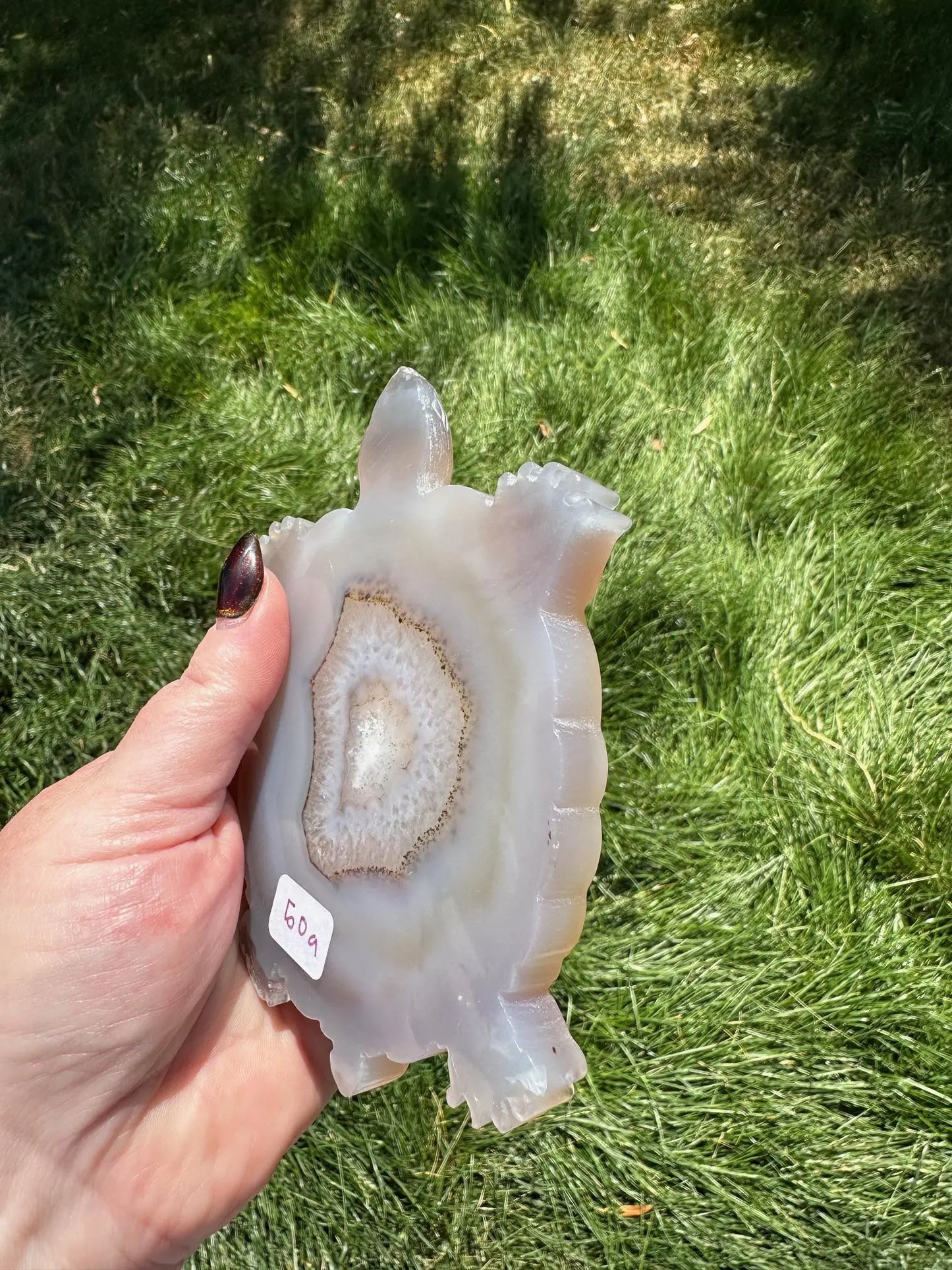 Druzy Agate Turtle Crystal Carving Oakriver Crystals