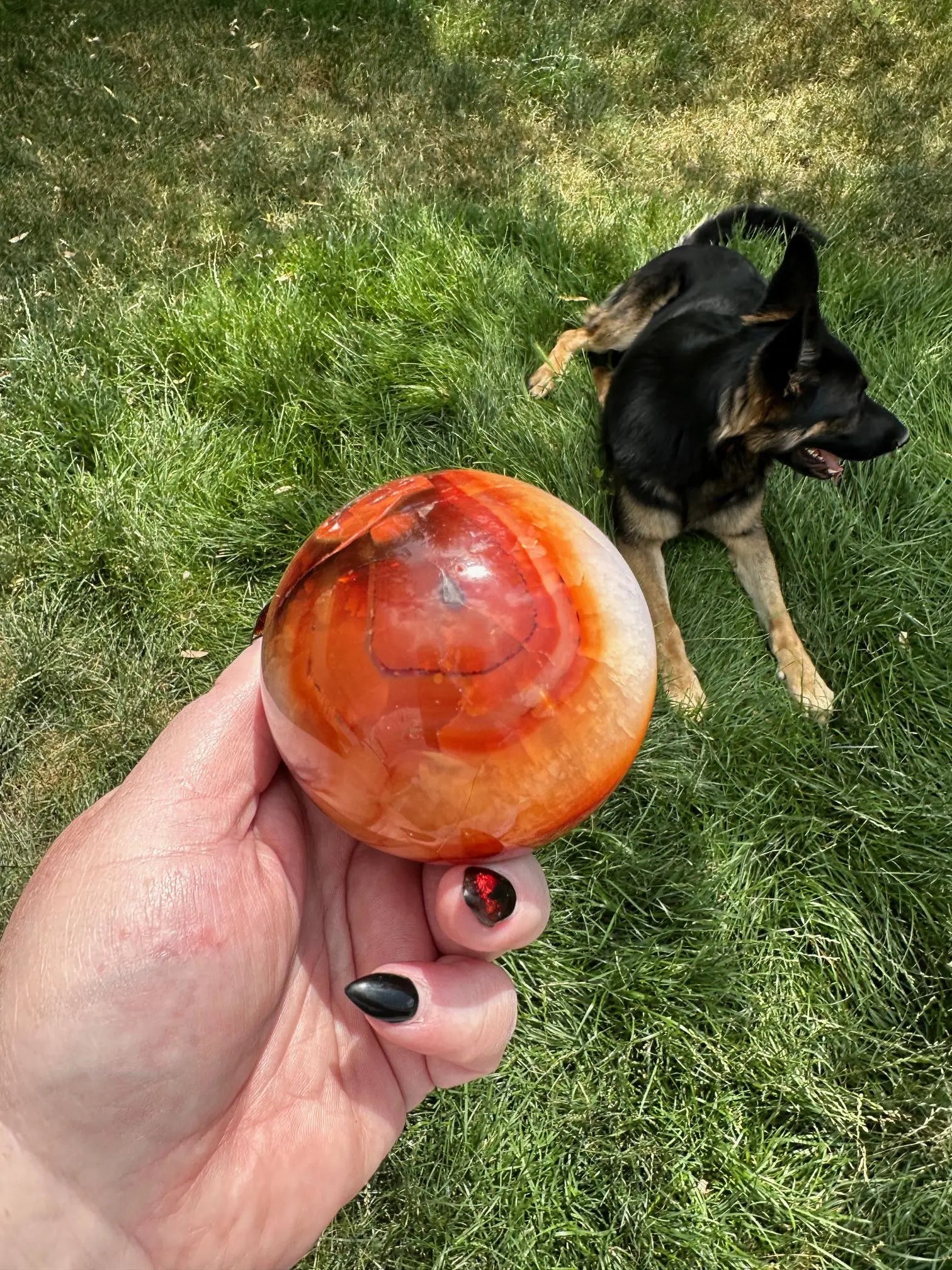 Carnelian sphere Vibrant red and Orange 2.9 inches #4 Oakriver Crystals