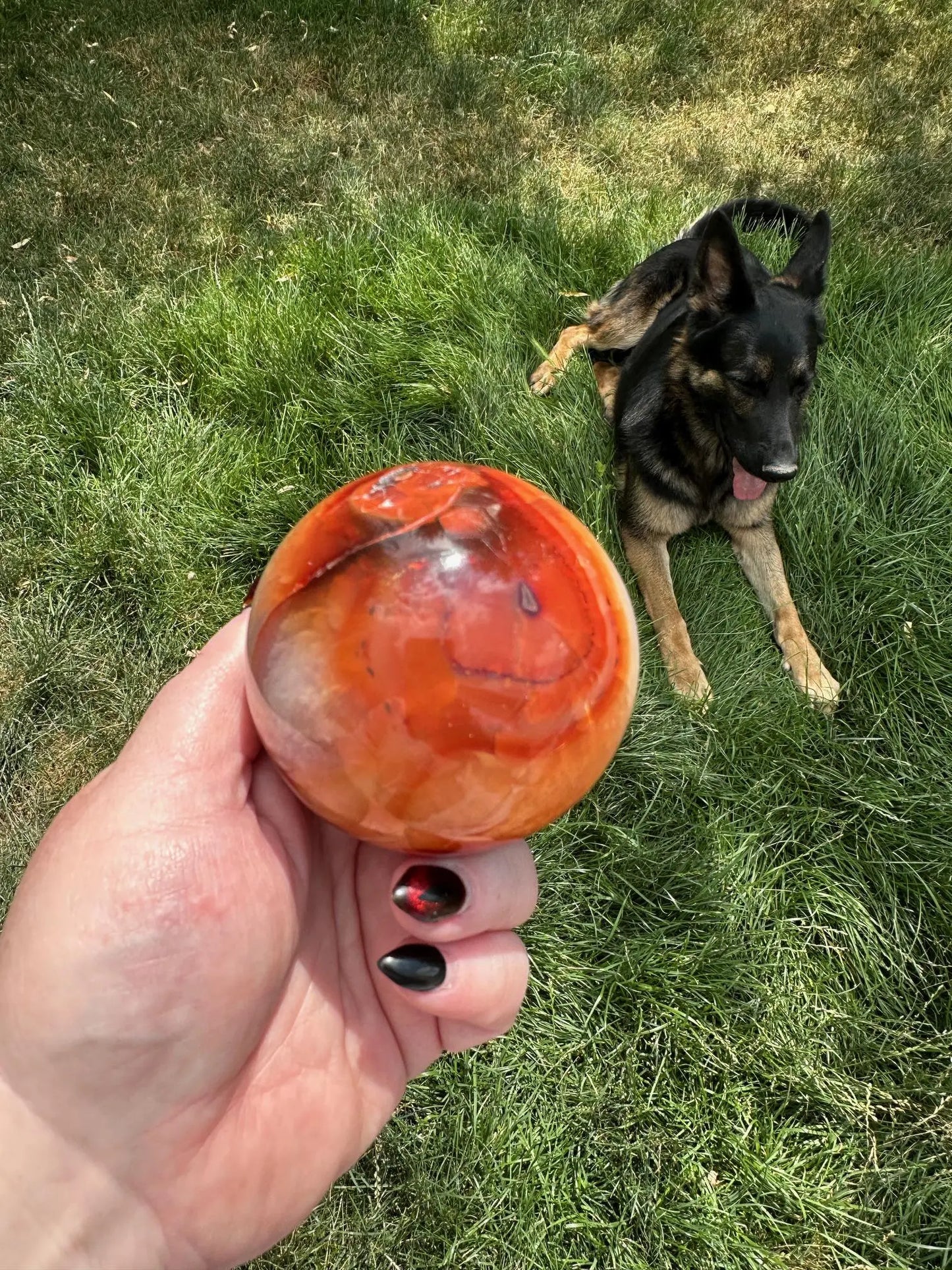 Carnelian sphere Vibrant red and Orange 2.9 inches #4 Oakriver Crystals