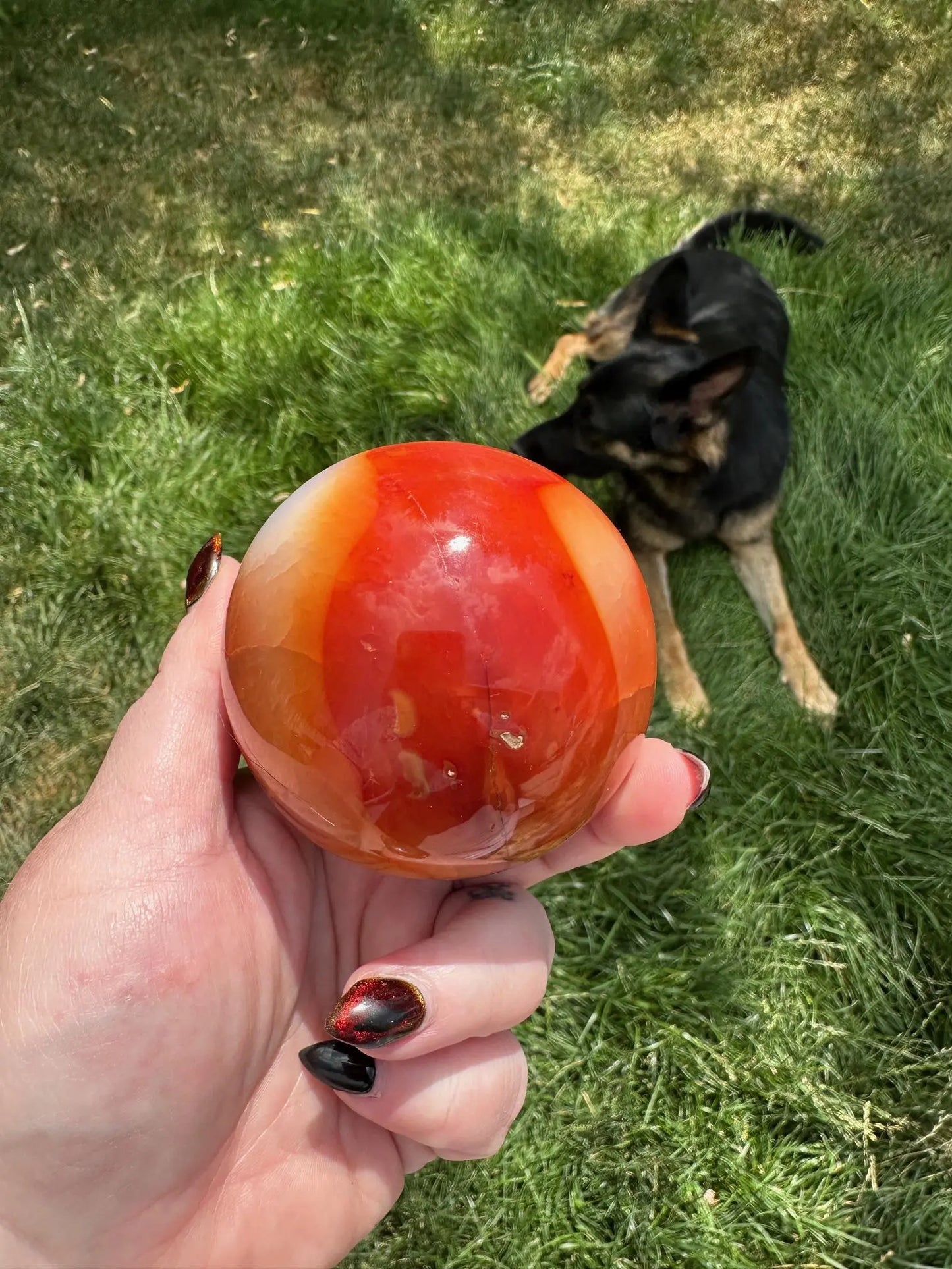 Carnelian sphere Vibrant red and Orange 2.9 inches #4 Oakriver Crystals