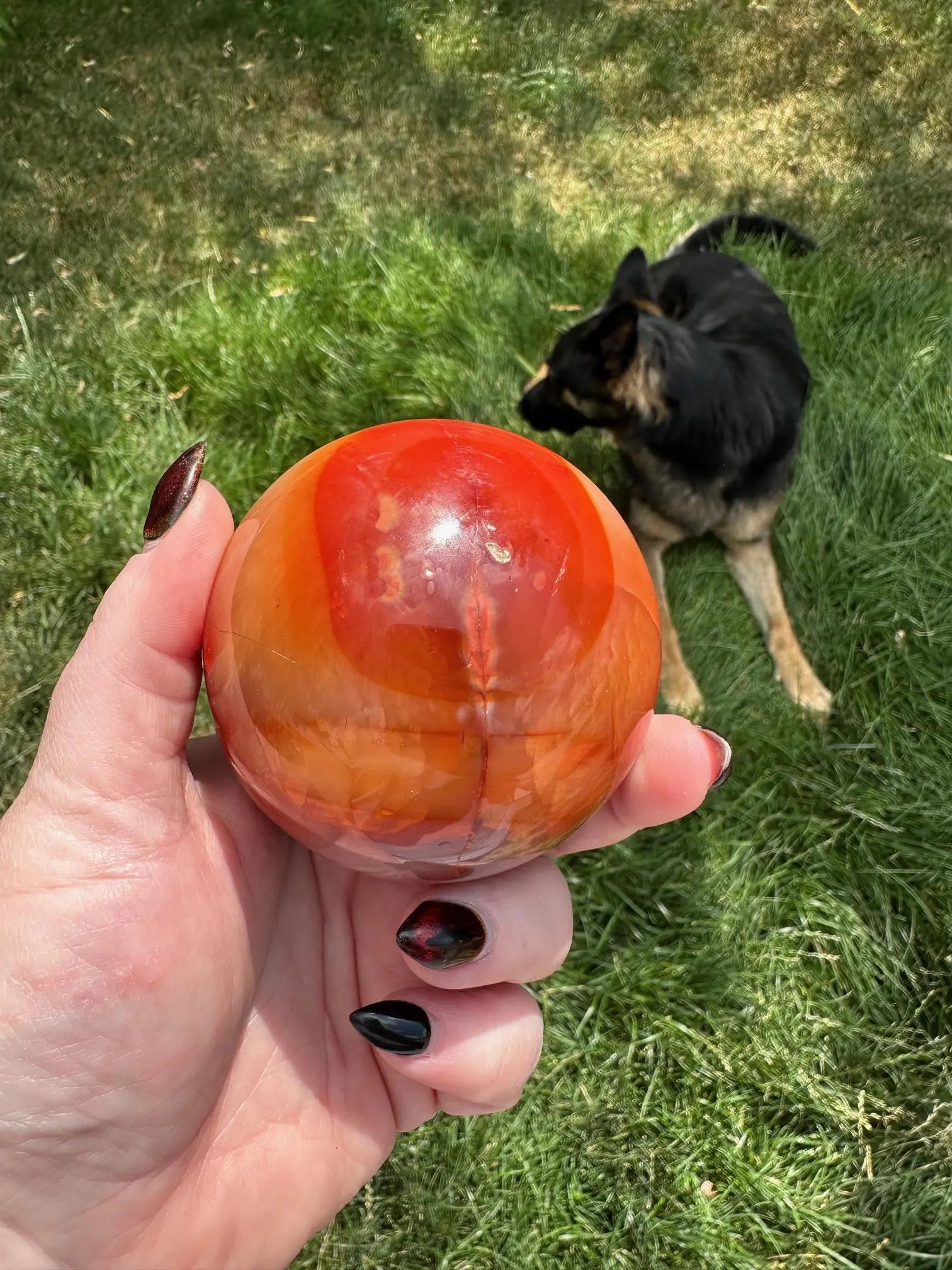 Carnelian sphere Vibrant red and Orange 2.9 inches #4 Oakriver Crystals