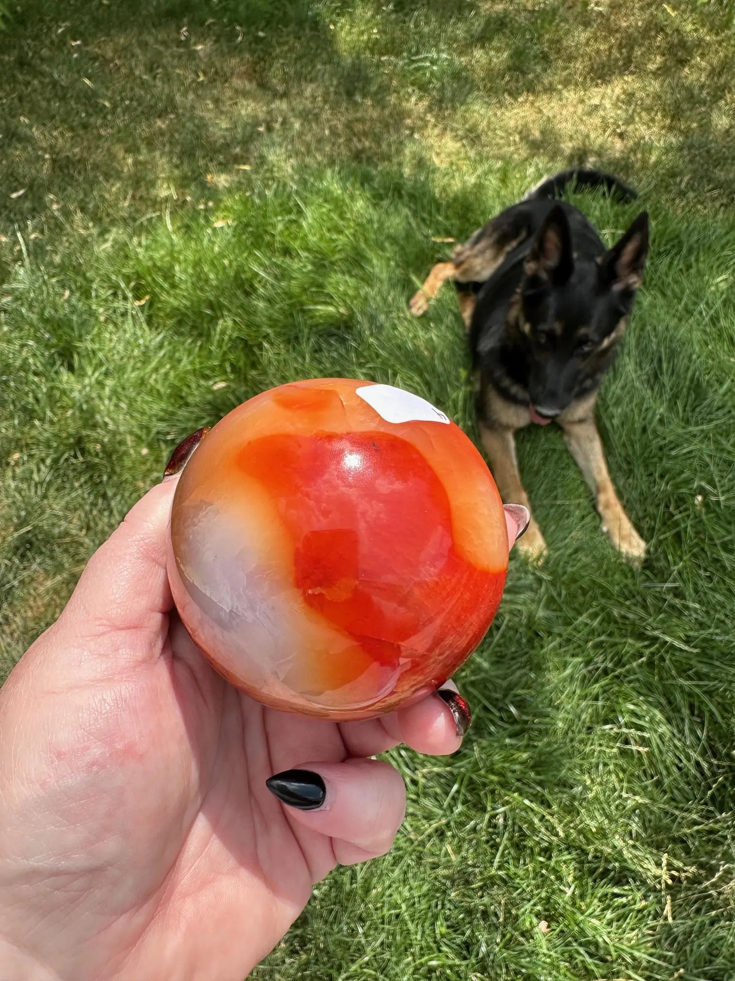 Carnelian sphere Vibrant red and Orange 2.9 inches #4 Oakriver Crystals