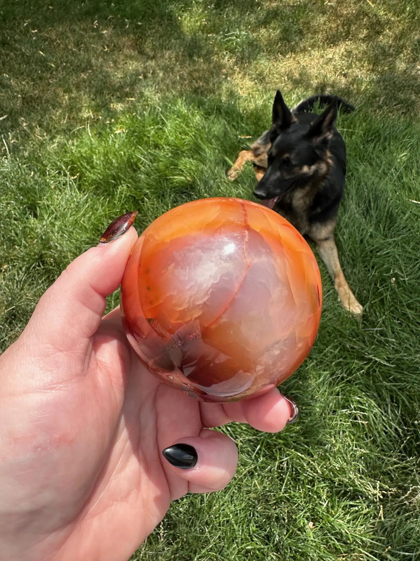 Carnelian sphere Vibrant red and Orange 2.9 inches #4 Oakriver Crystals