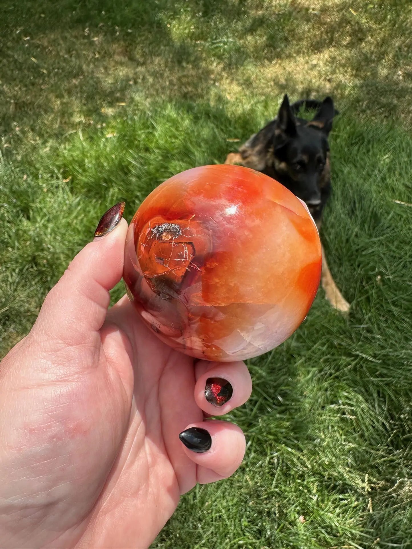 Carnelian sphere Vibrant red and Orange 2.9 inches #4 Oakriver Crystals