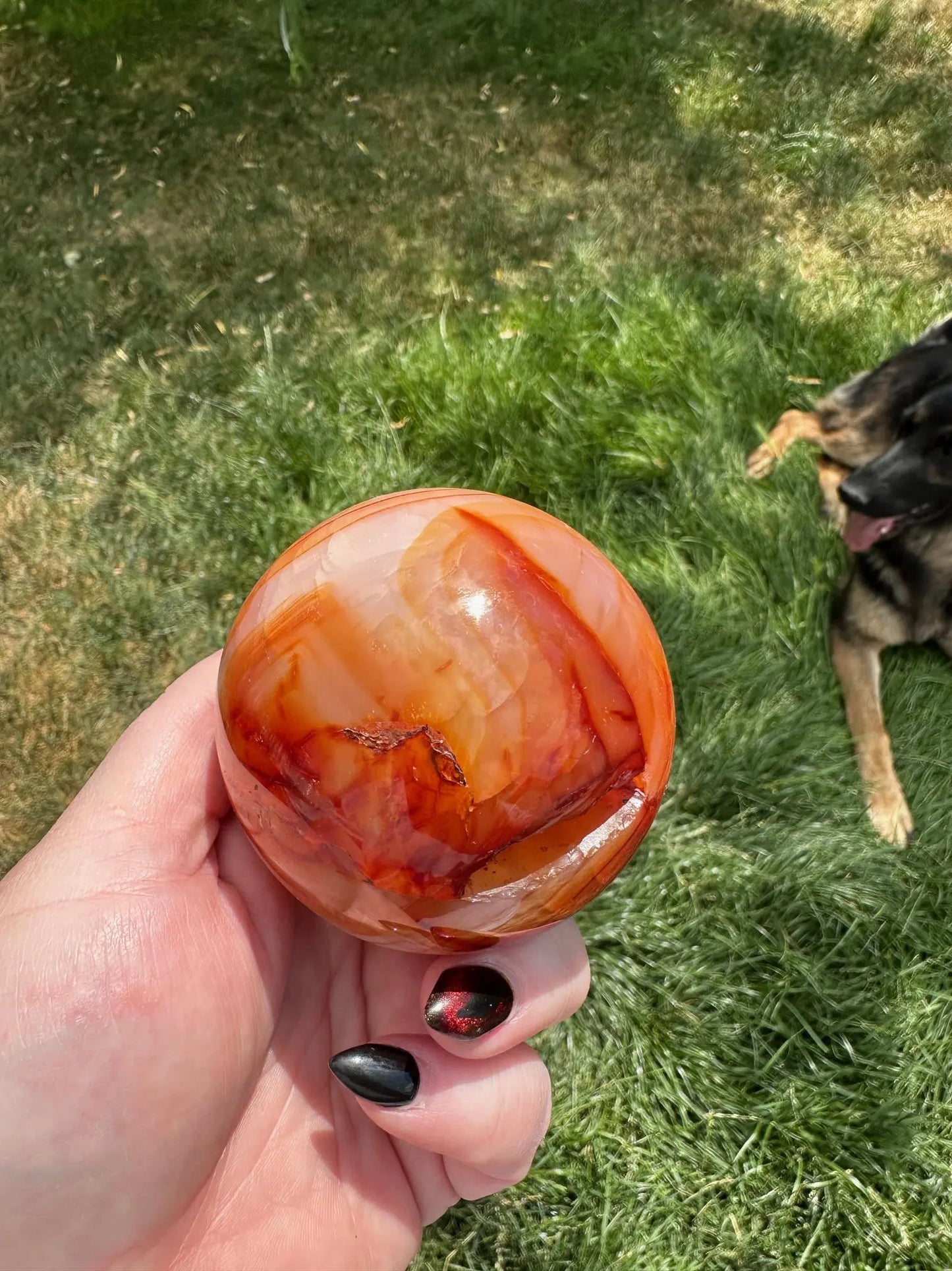 Carnelian sphere Vibrant red and Orange 2.8 inches #5 Oakriver Crystals