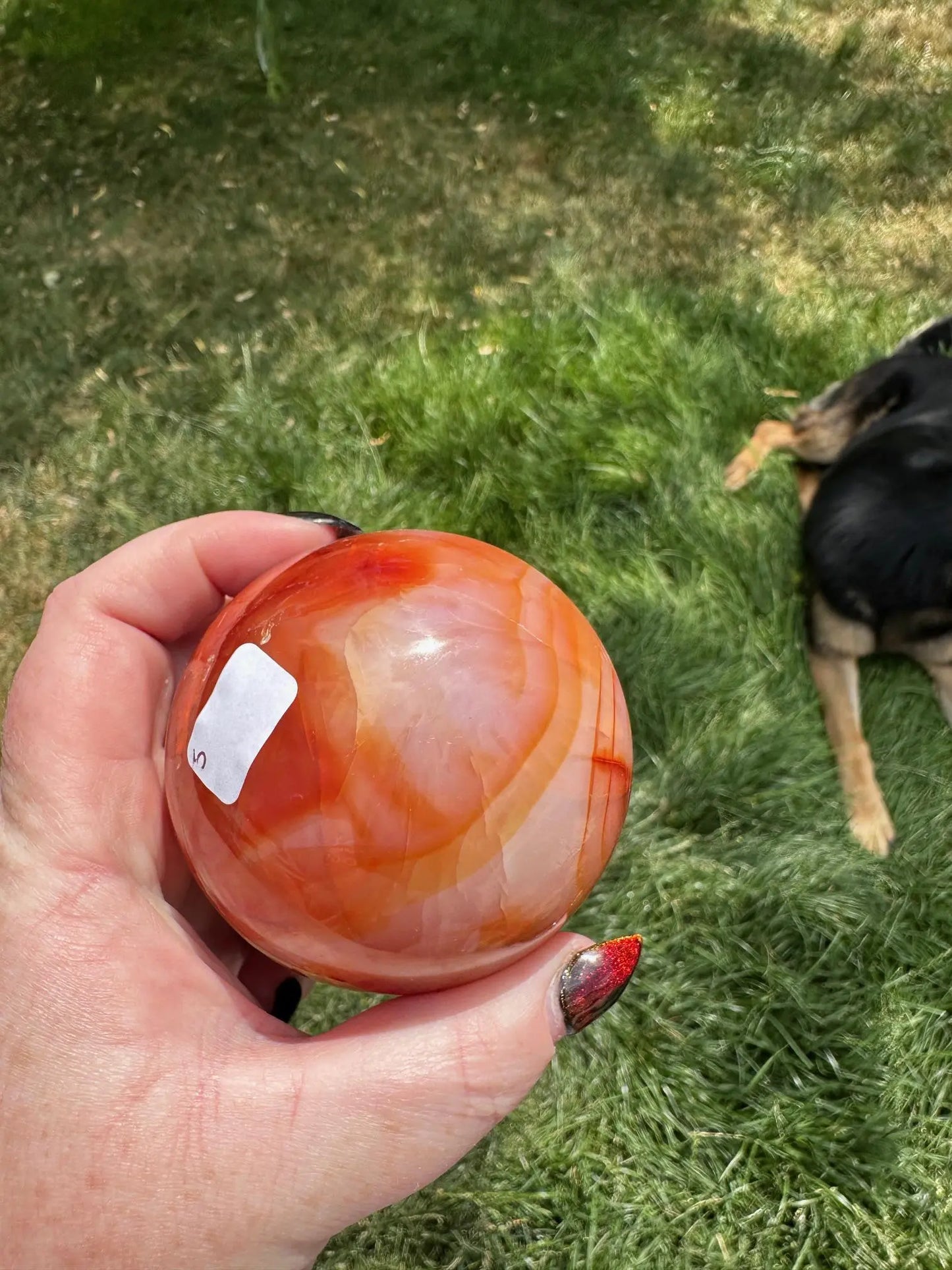 Carnelian sphere Vibrant red and Orange 2.8 inches #5 Oakriver Crystals