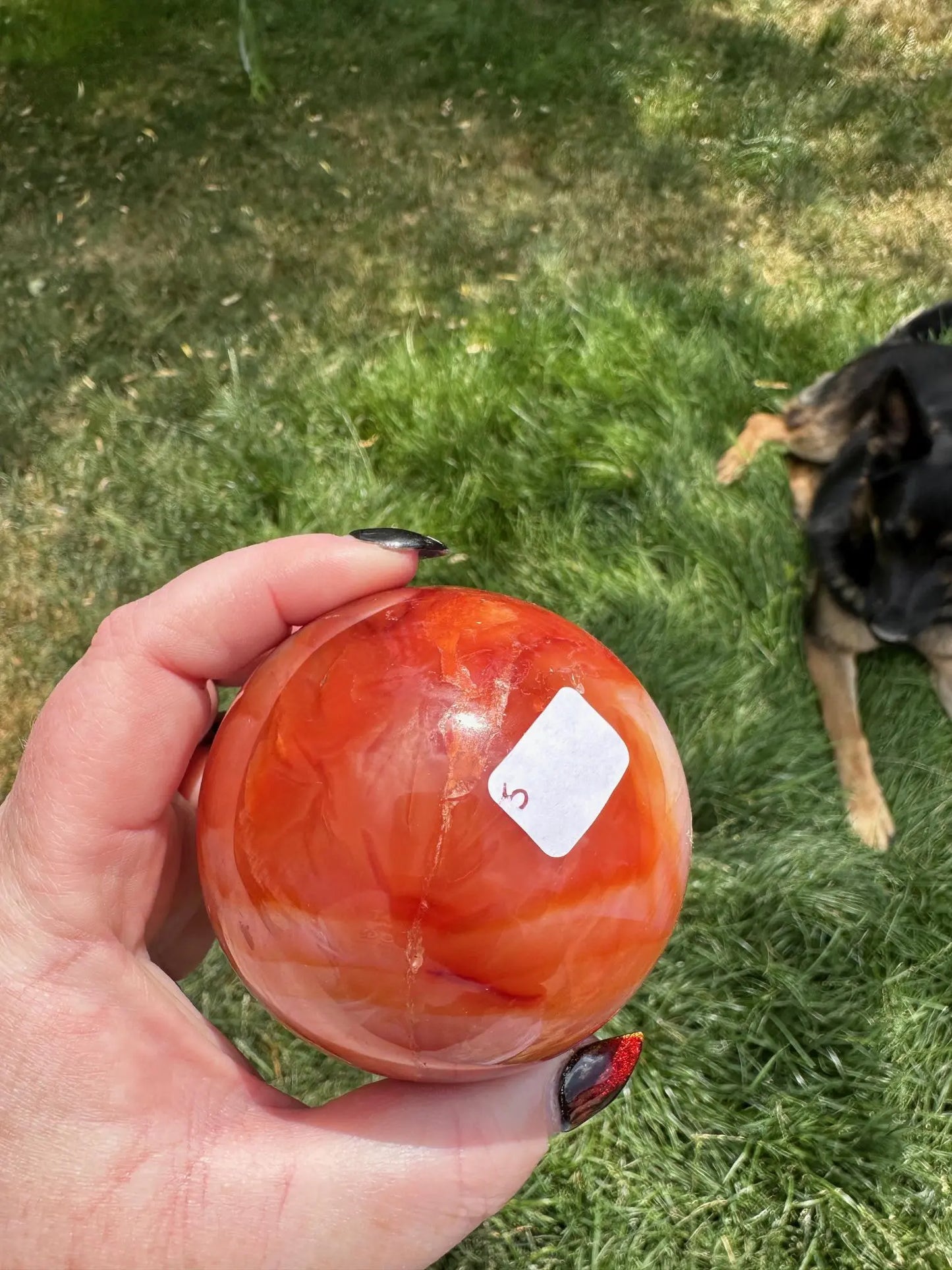 Carnelian sphere Vibrant red and Orange 2.8 inches #5 Oakriver Crystals