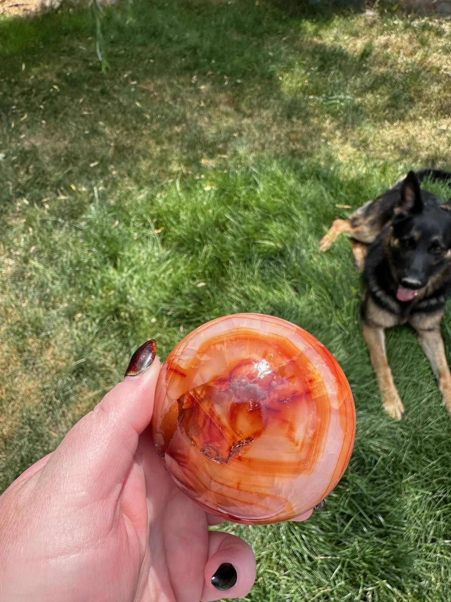 Carnelian sphere Vibrant red and Orange 2.8 inches #5 Oakriver Crystals