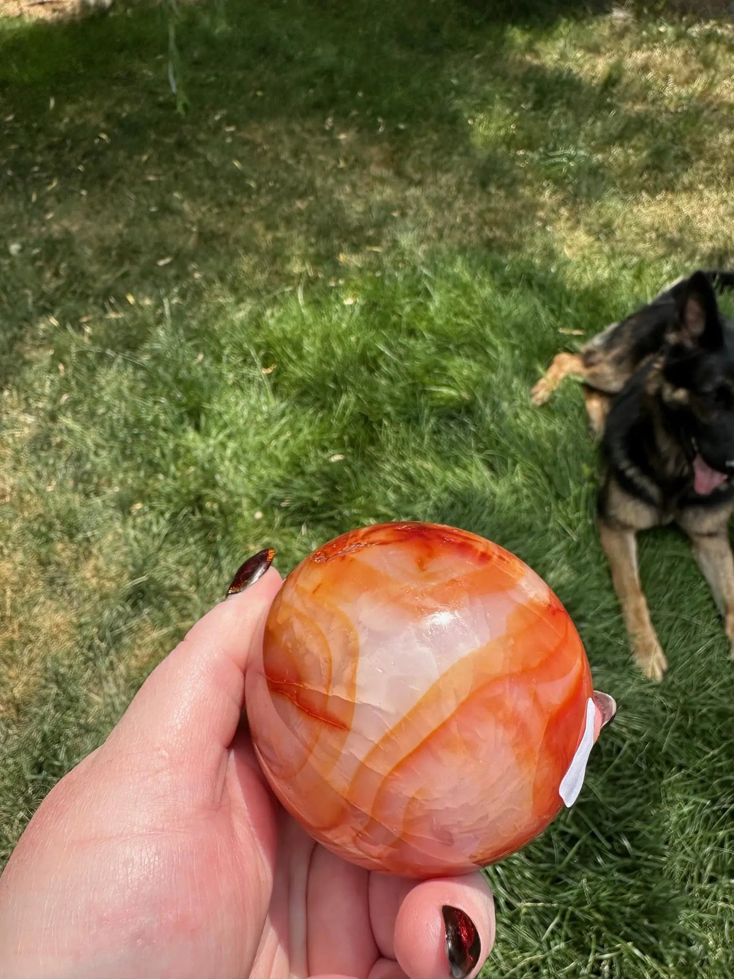 Carnelian sphere Vibrant red and Orange 2.8 inches #5 Oakriver Crystals