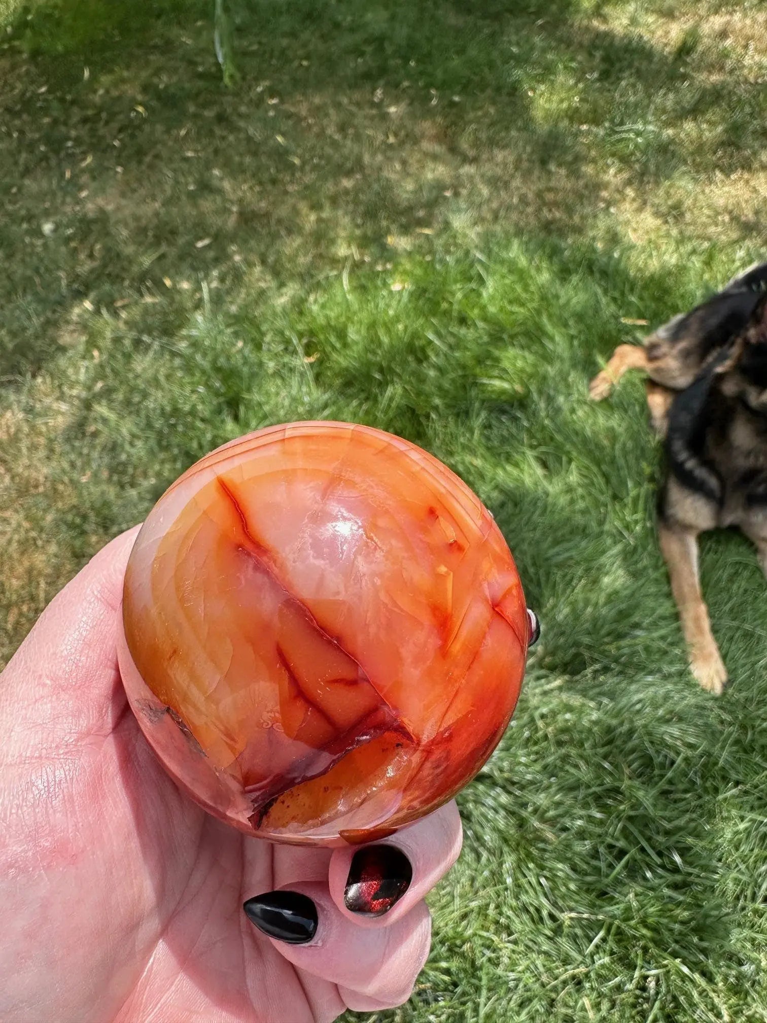 Carnelian sphere Vibrant red and Orange 2.8 inches #5 Oakriver Crystals