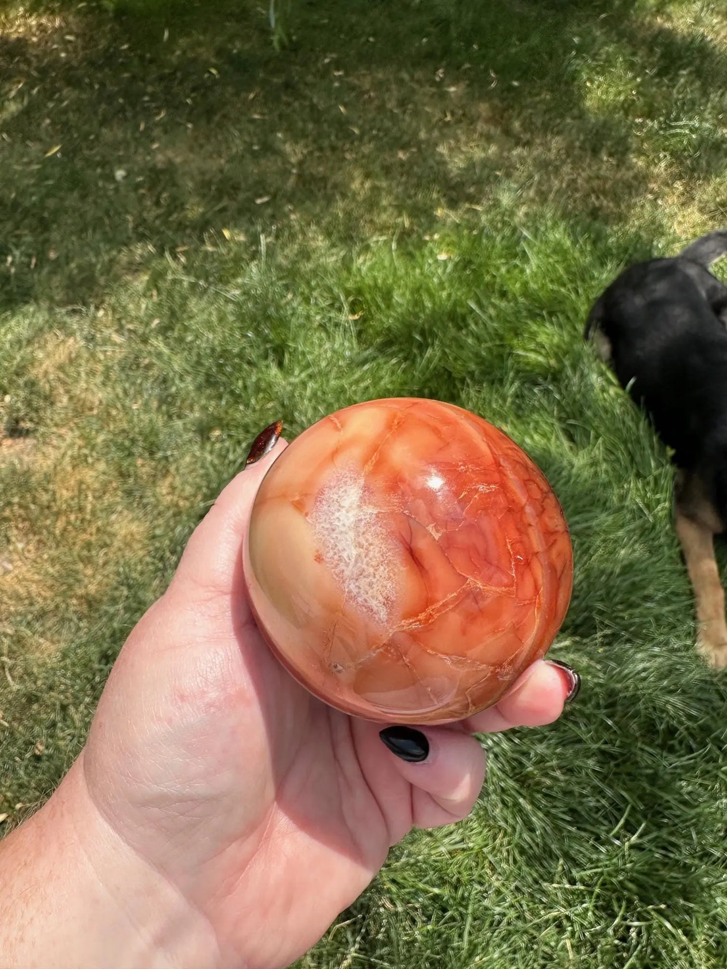 Carnelian sphere Vibrant red and Orange 3.12 inches #3 Oakriver Crystals