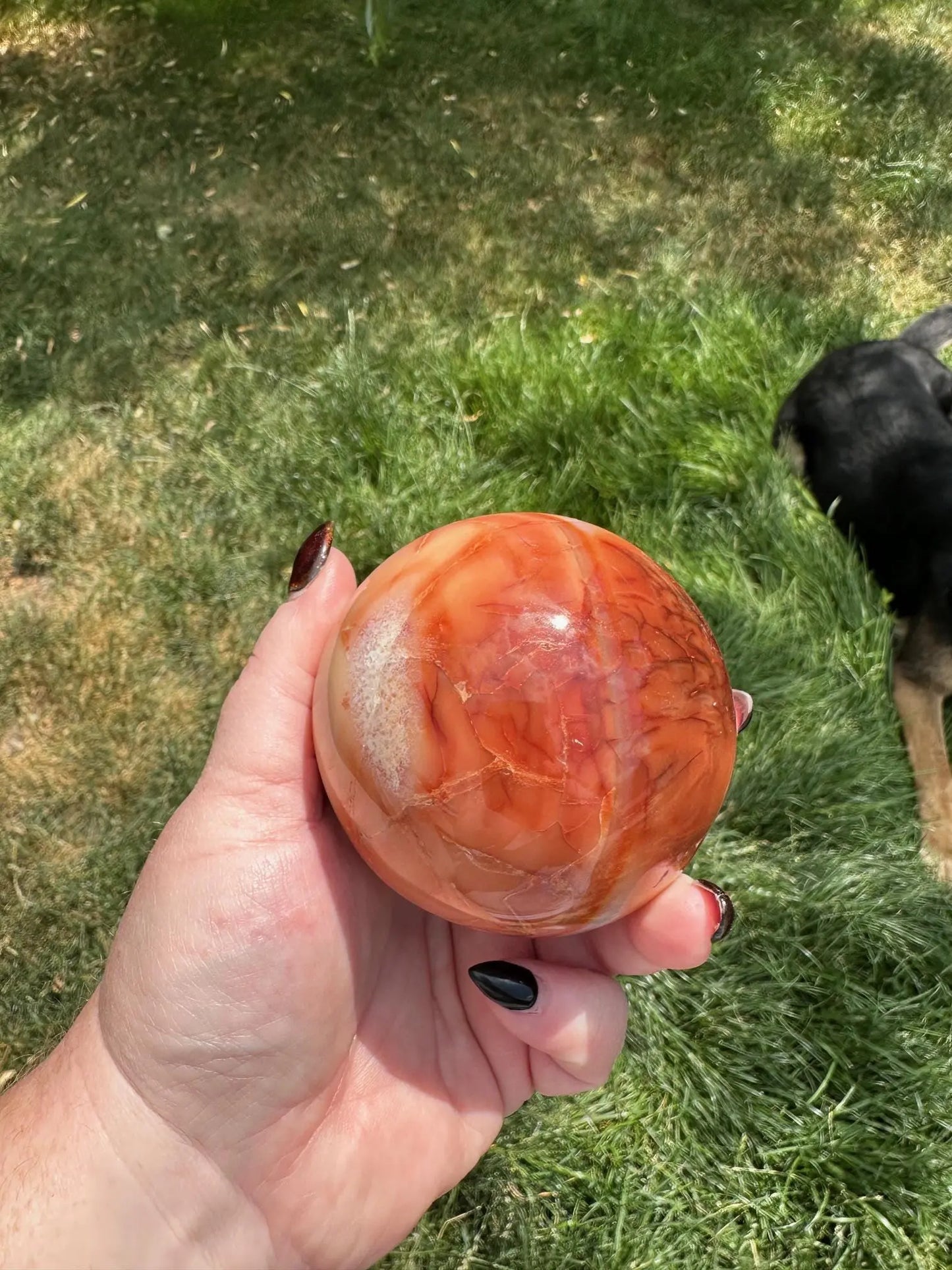 Carnelian sphere Vibrant red and Orange 3.12 inches #3 Oakriver Crystals