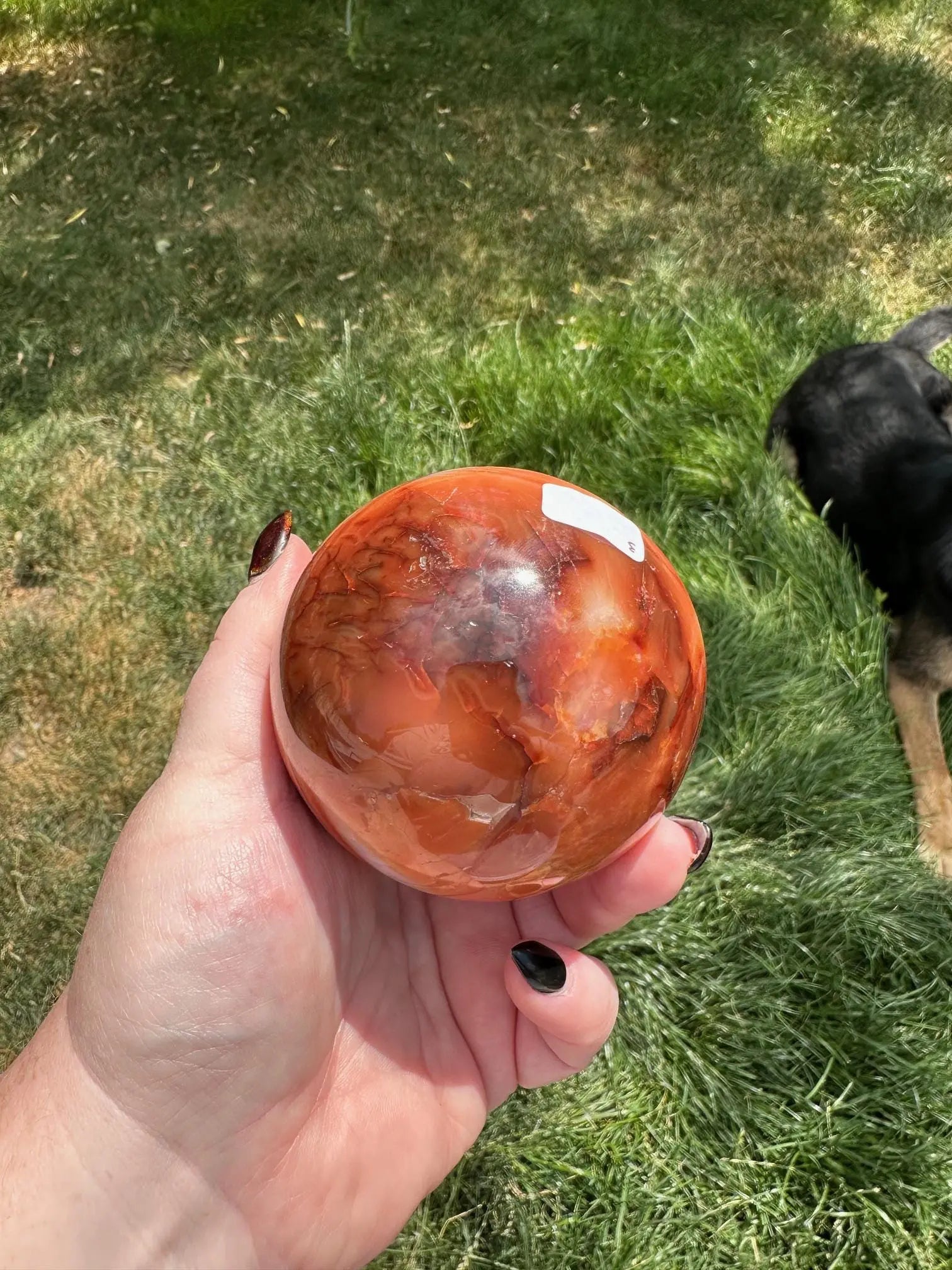 Carnelian sphere Vibrant red and Orange 3.12 inches #3 Oakriver Crystals